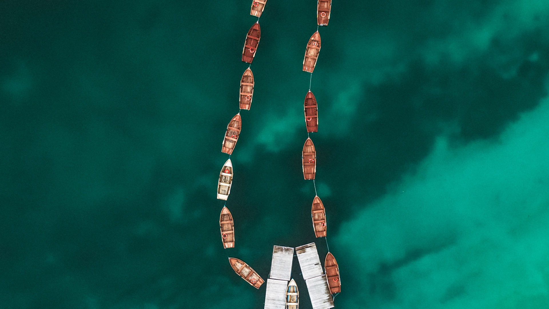 Baum, Electric Blue, Holz, Kunst, Symmetrie. Wallpaper in 1920x1080 Resolution