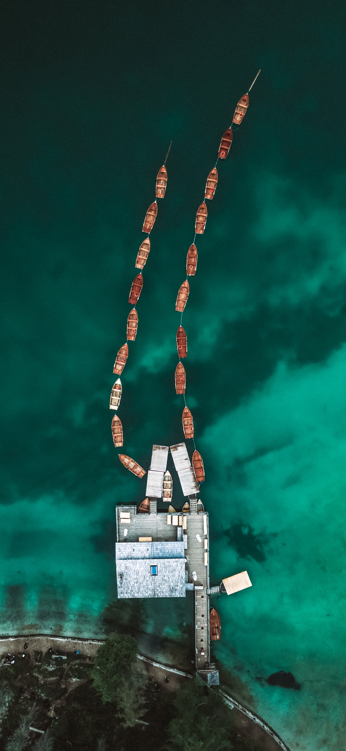 Tree, Electric Blue, Wood, City, Art. Wallpaper in 1125x2436 Resolution