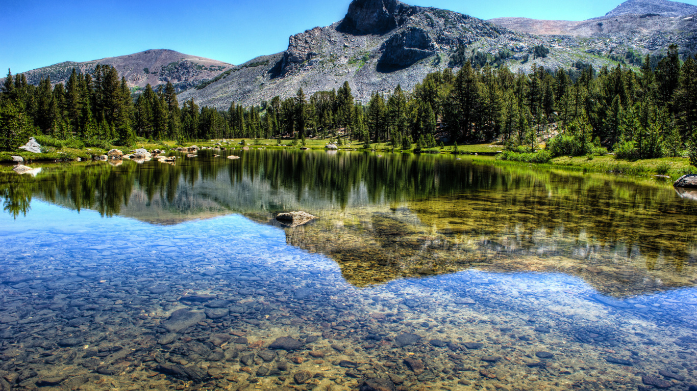 Green Trees Near Lake During Daytime. Wallpaper in 1366x768 Resolution