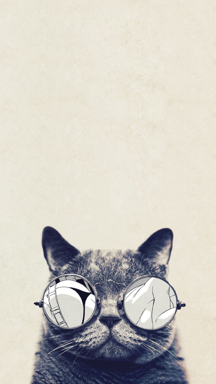 Black and White Cat Wearing Sunglasses. Wallpaper in 720x1280 Resolution