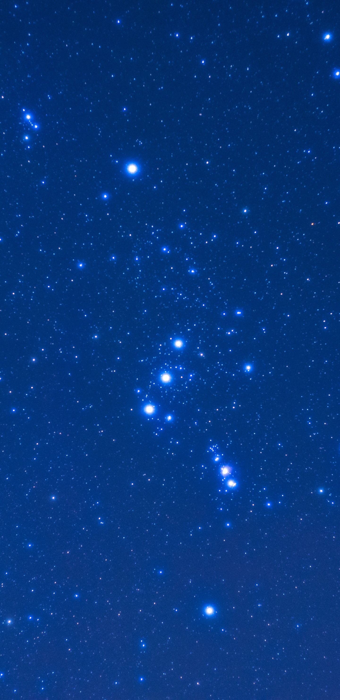 Estrellas Azules y Blancas en el Cielo Azul. Wallpaper in 1440x2960 Resolution