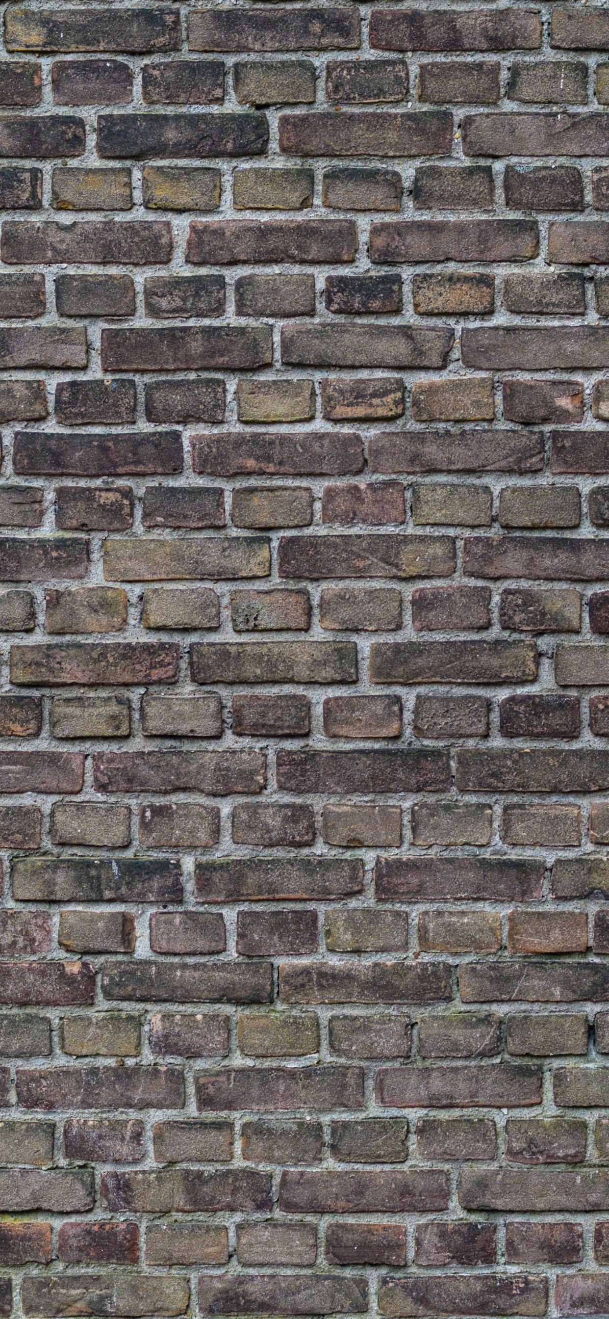 Brown and Black Brick Wall. Wallpaper in 1242x2688 Resolution