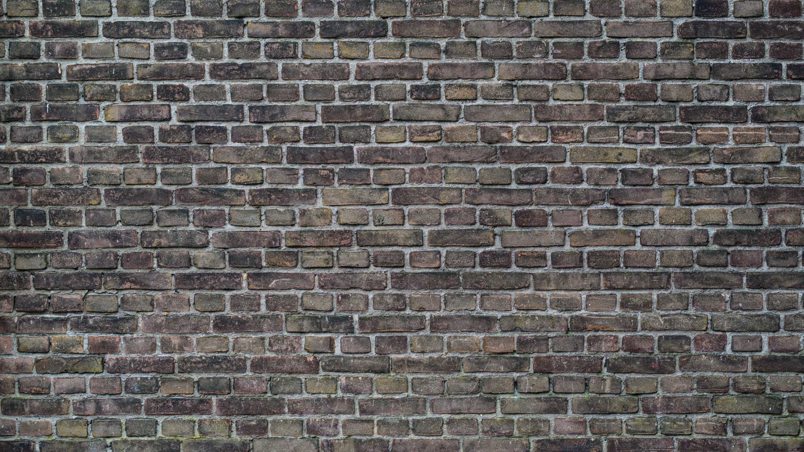 Brown and Black Brick Wall. Wallpaper in 2560x1440 Resolution