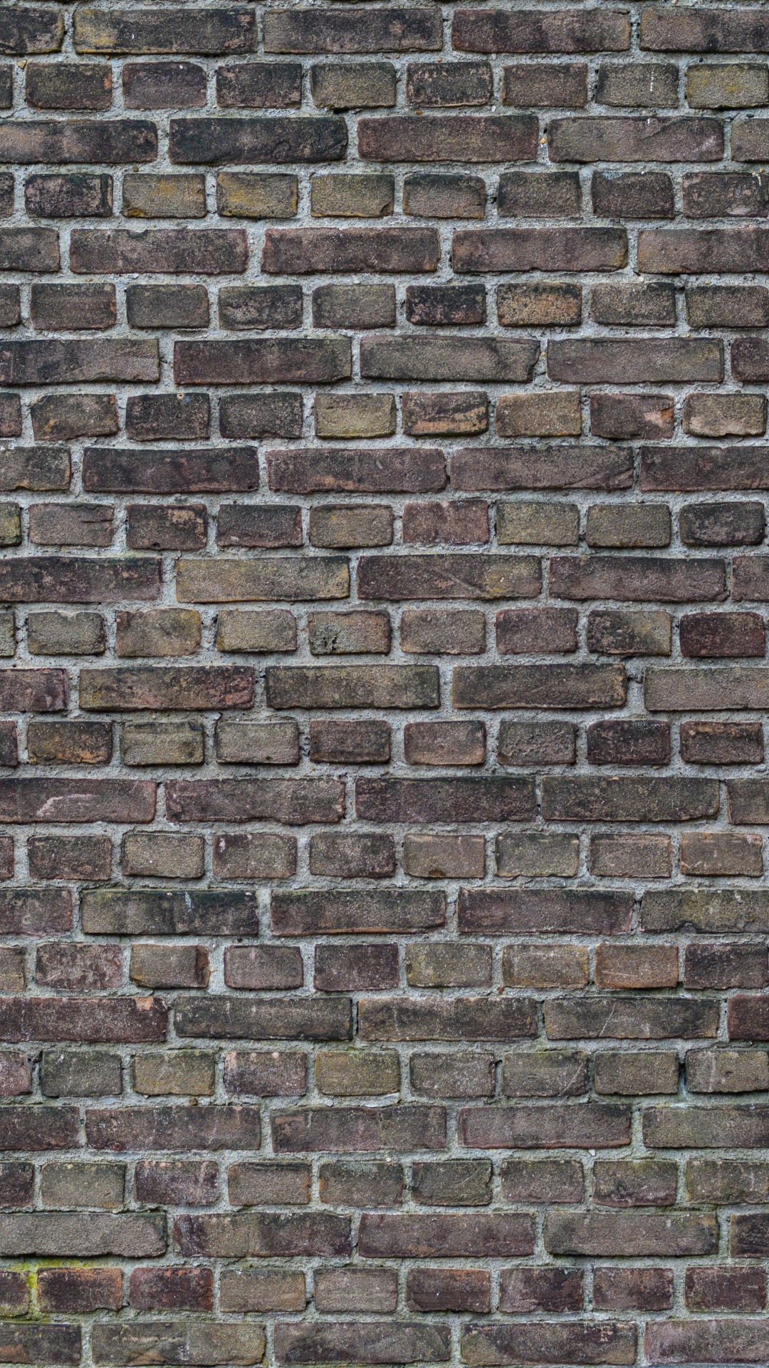 Mur de Briques Brunes et Noires. Wallpaper in 1080x1920 Resolution