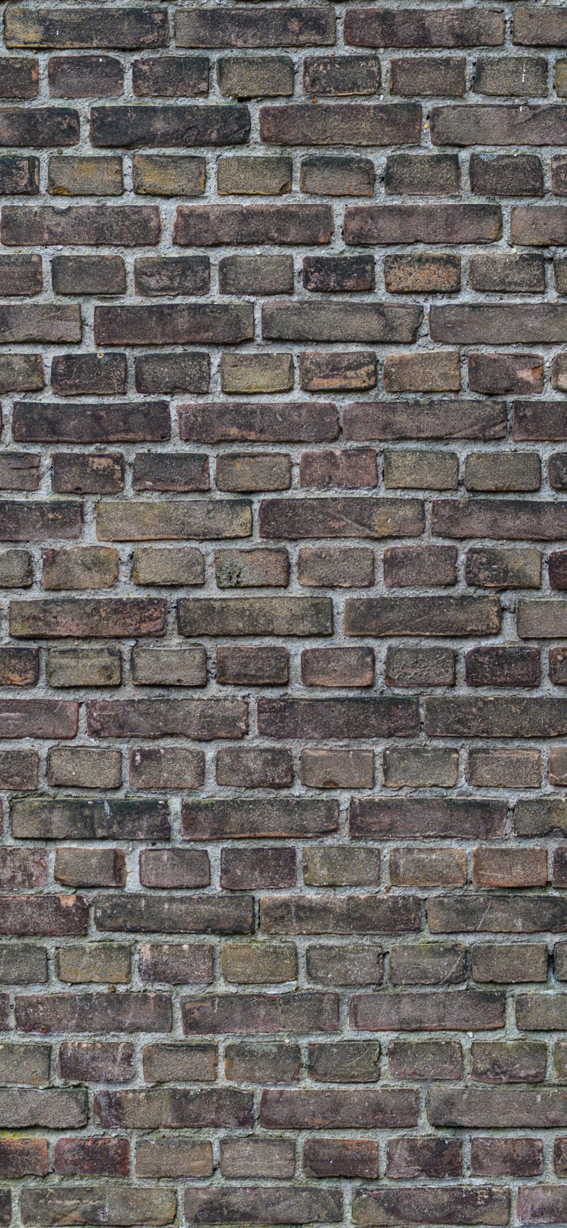 Pared de Ladrillo Marrón y Negro. Wallpaper in 1125x2436 Resolution
