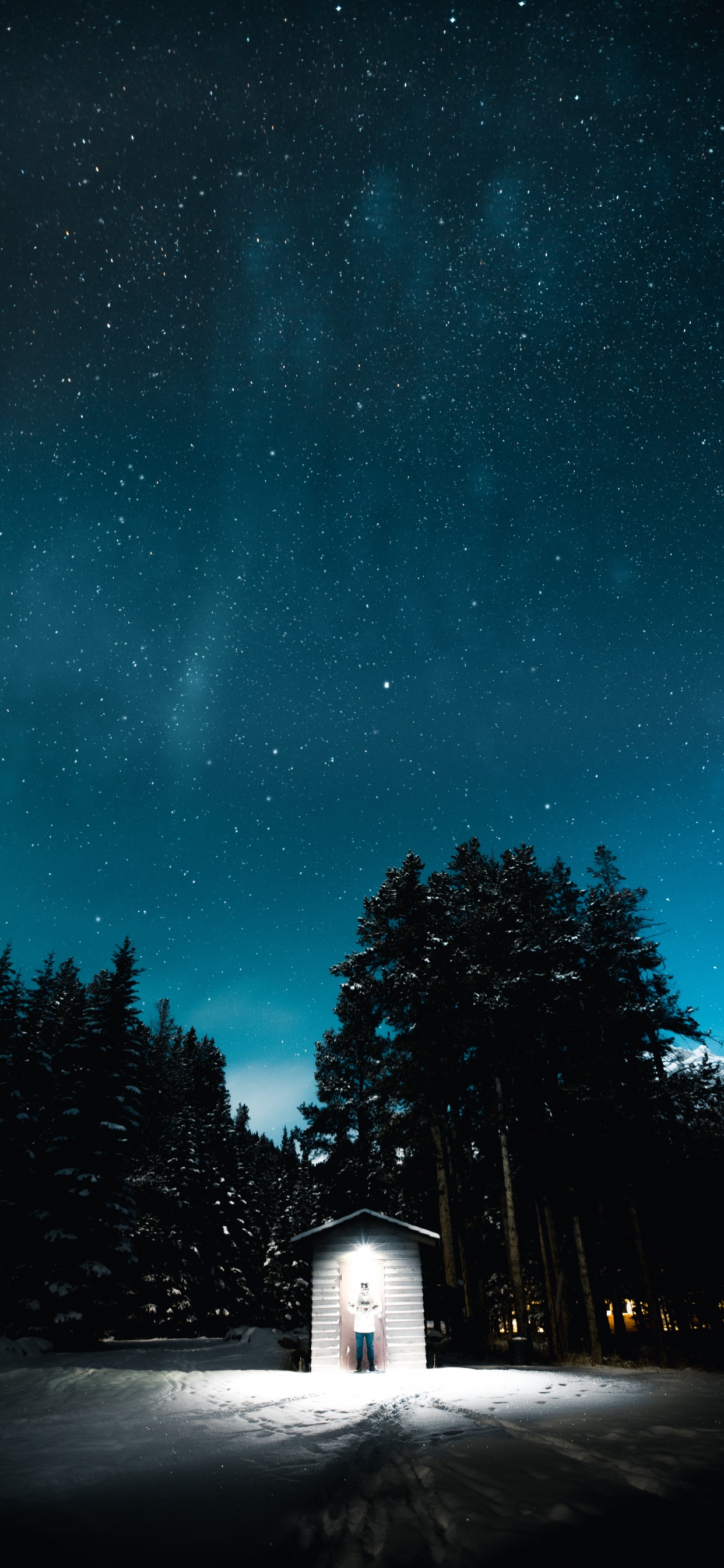 黑色的, 光, 自然景观, 气氛, 性质 壁纸 1242x2688 允许