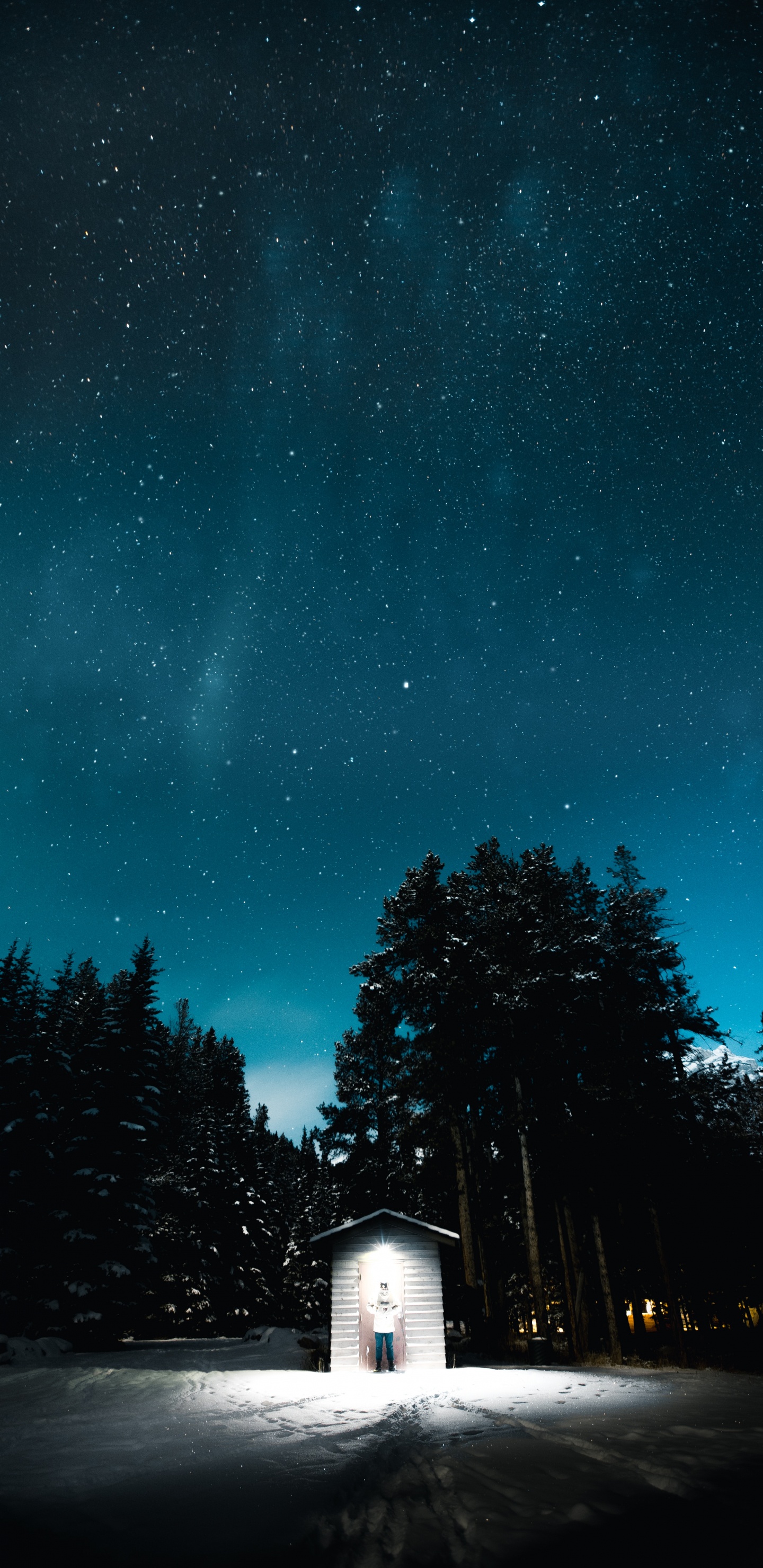 黑色的, 光, 自然景观, 气氛, 性质 壁纸 1440x2960 允许