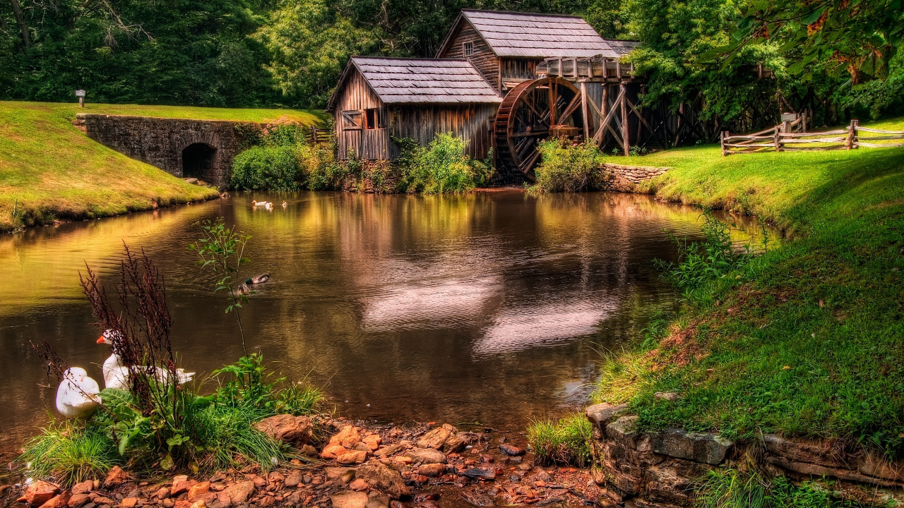 Maison en Bois Marron à Côté de la Rivière Pendant la Journée. Wallpaper in 1280x720 Resolution