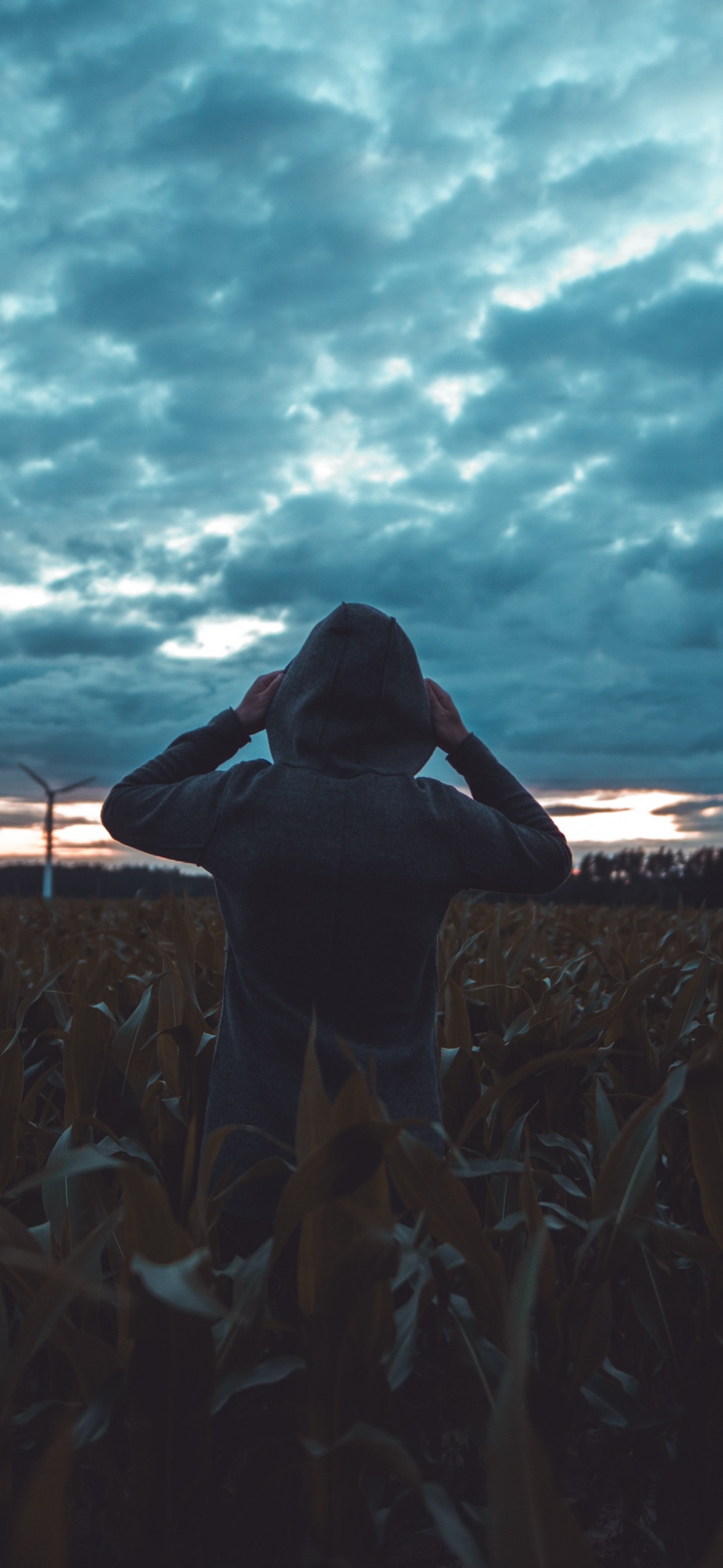 Femme en Chemise Noire Debout Sur un Champ Brun Sous Des Nuages Gris Pendant la Journée. Wallpaper in 1125x2436 Resolution