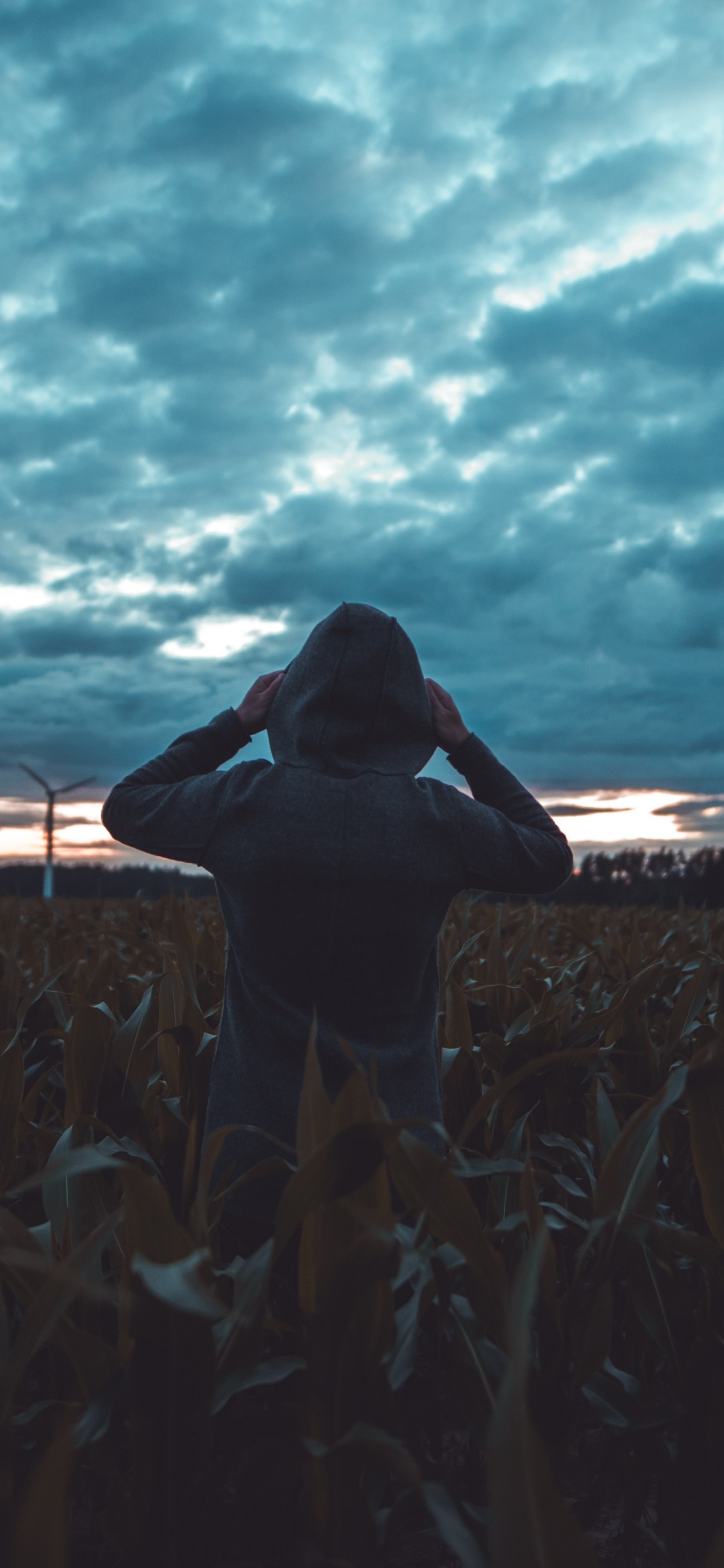日落, 地平线, 天空, 人群, 气氛 壁纸 1242x2688 允许