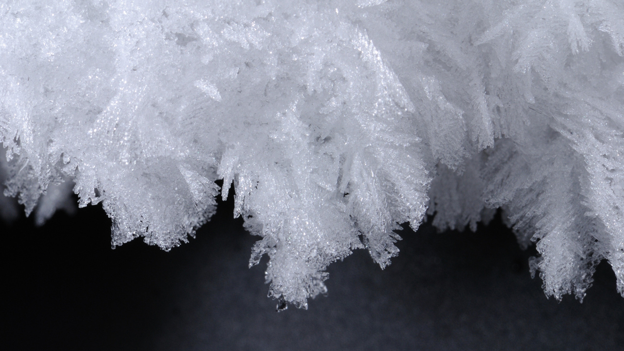 白色, 冻结, 雪花, 黑色和白色的, 形状 壁纸 1280x720 允许