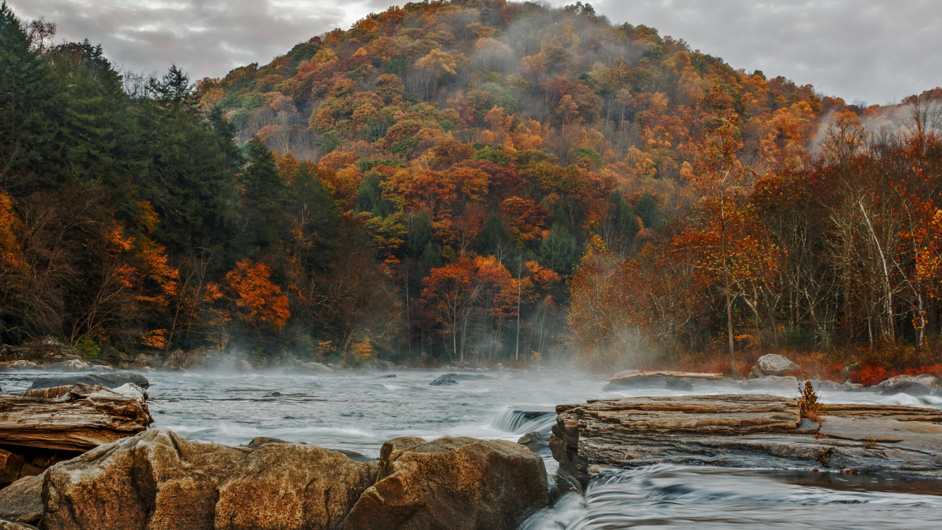 Red and Green Trees Near River During Daytime. Wallpaper in 1366x768 Resolution