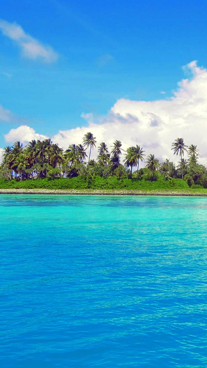 Arbres Verts Sur L'île Entourée de Mer Bleue Sous un Ciel Nuageux Bleu et Blanc Pendant la Journée. Wallpaper in 720x1280 Resolution