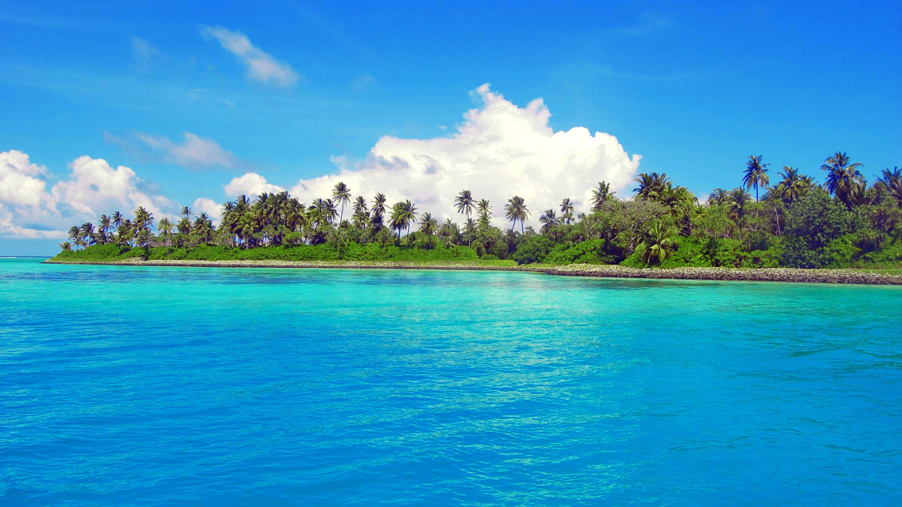 Grüne Bäume Auf Der Insel, Umgeben Von Blauem Meer Unter Blau-weiß Bewölktem Himmel Tagsüber During. Wallpaper in 1280x720 Resolution