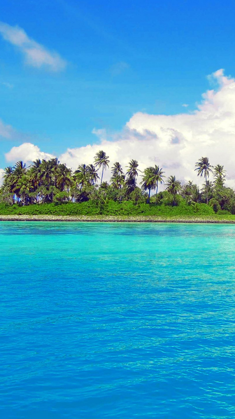 Grüne Bäume Auf Der Insel, Umgeben Von Blauem Meer Unter Blau-weiß Bewölktem Himmel Tagsüber During. Wallpaper in 750x1334 Resolution
