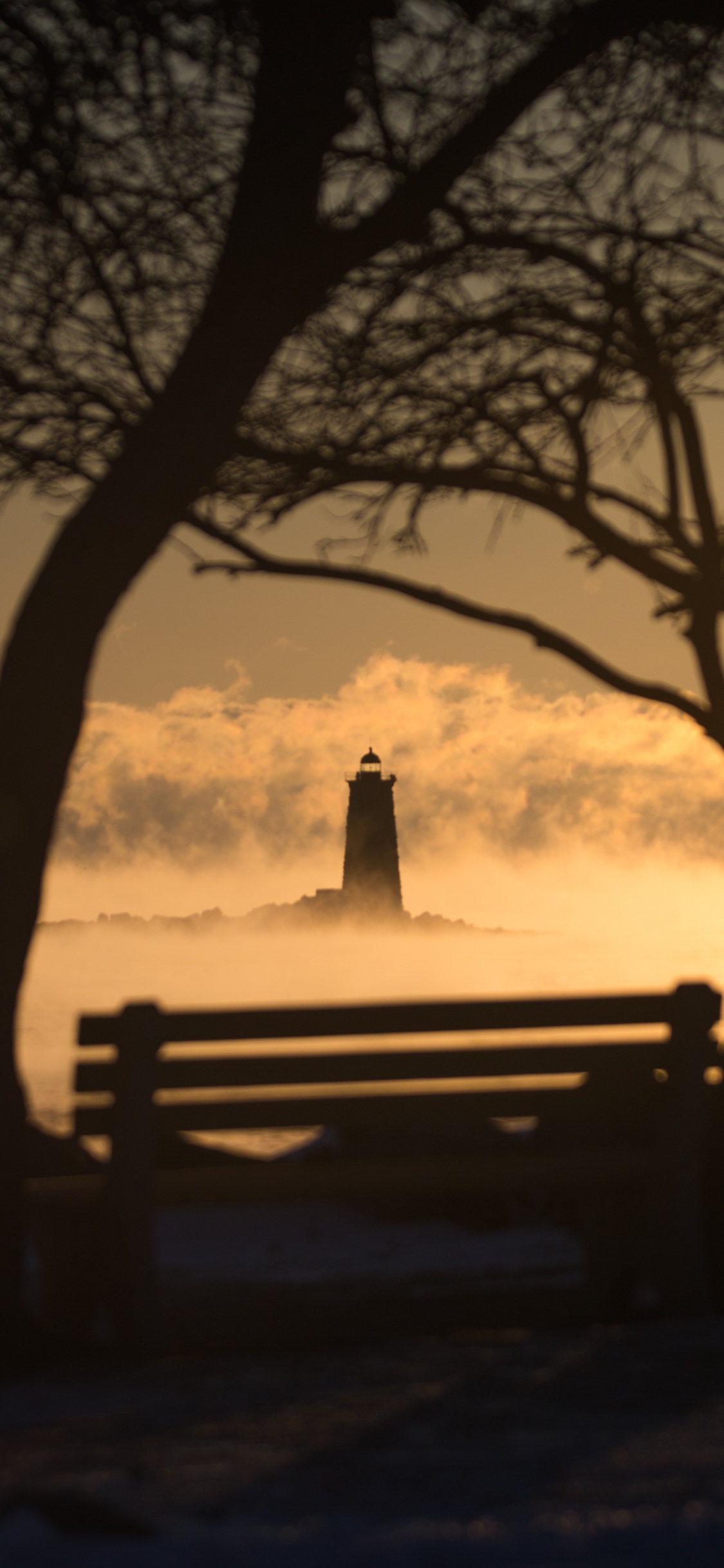 Agua, Sucursal, Planta Leñosa, Ambiente, Invierno. Wallpaper in 1125x2436 Resolution