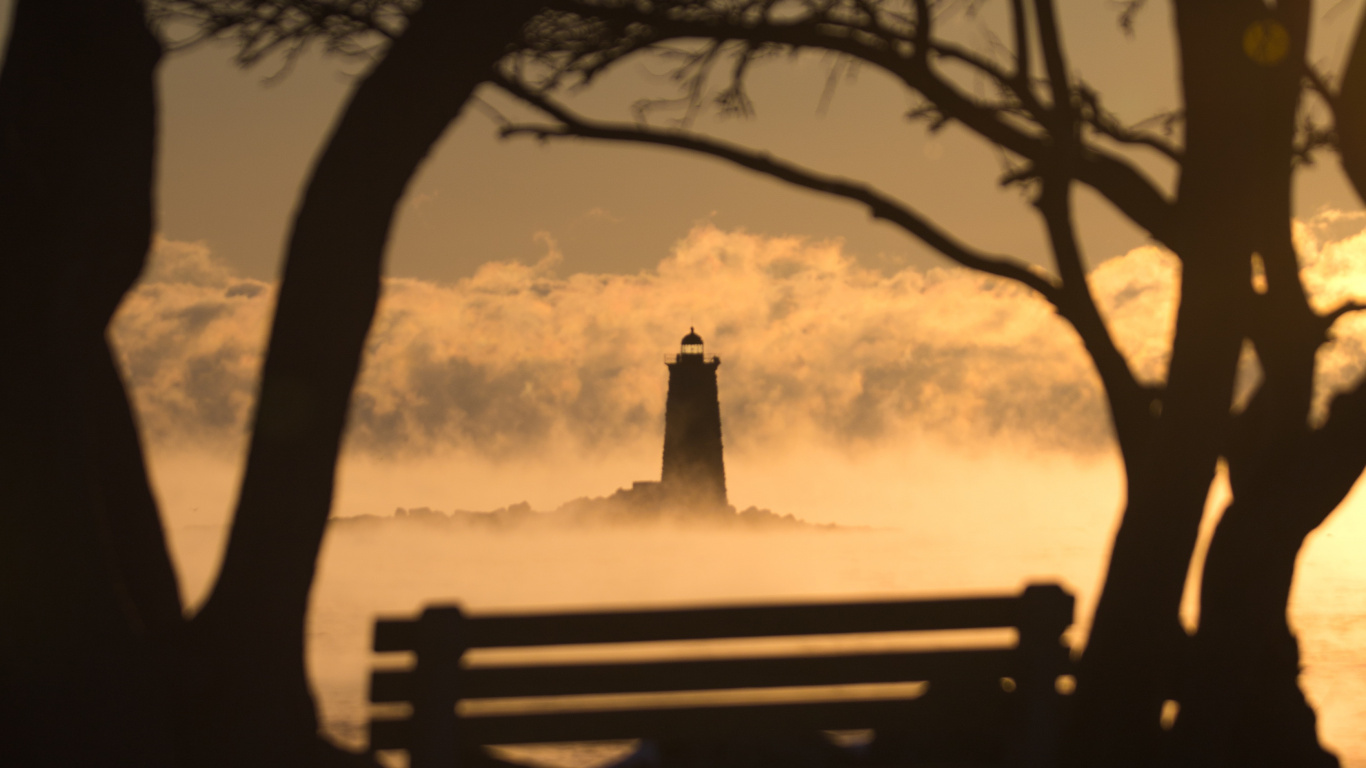 Agua, Sucursal, Planta Leñosa, Ambiente, Invierno. Wallpaper in 1366x768 Resolution