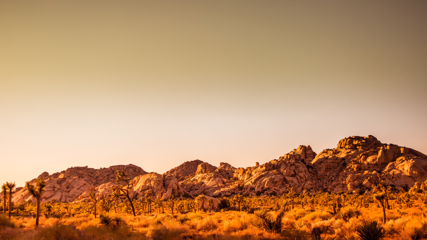 Joshua Tree National Park, Naturschutzgebiet Mit Wüstenblick, Barker-Damm, Macaron, Mojave-Wüste. Wallpaper in 1366x768 Resolution