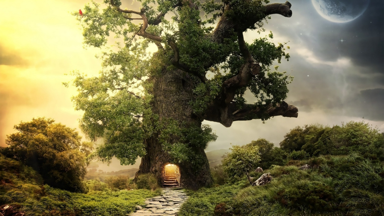 Tree House, House, Tree, Natural Landscape, Nature. Wallpaper in 1280x720 Resolution