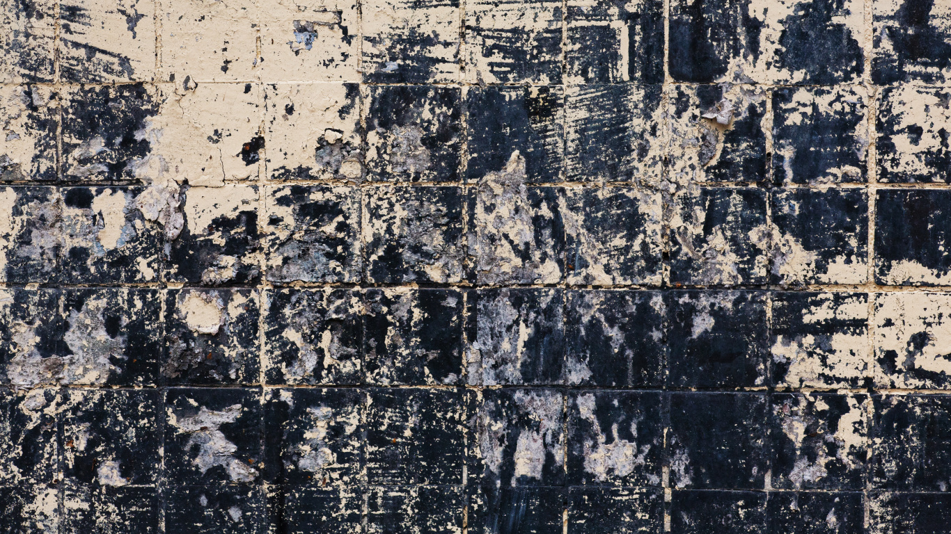 Peinture Abstraite en Noir et Blanc. Wallpaper in 1366x768 Resolution