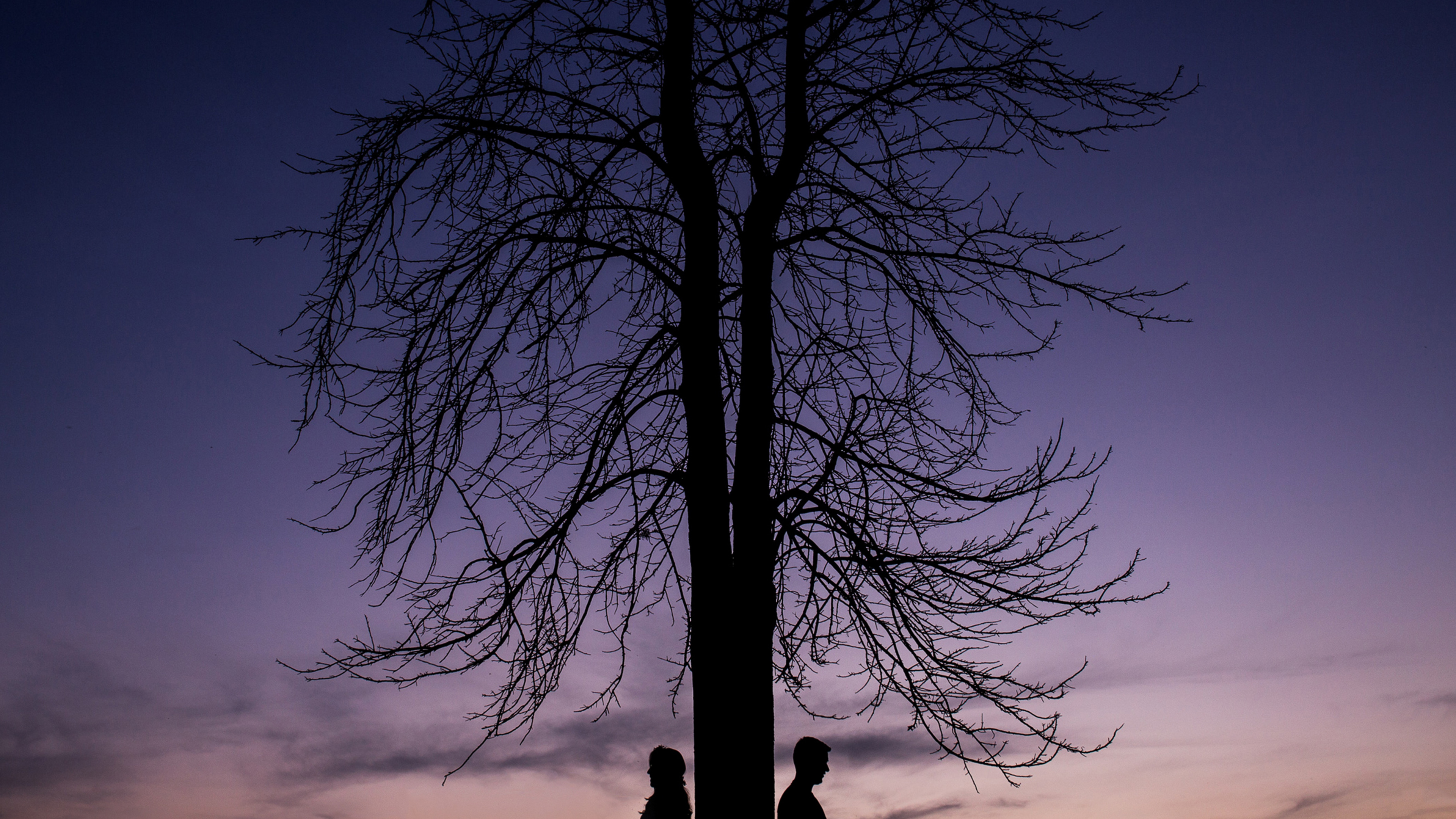 性质, 木本植物, 自然景观, 气氛, 工厂 壁纸 3840x2160 允许