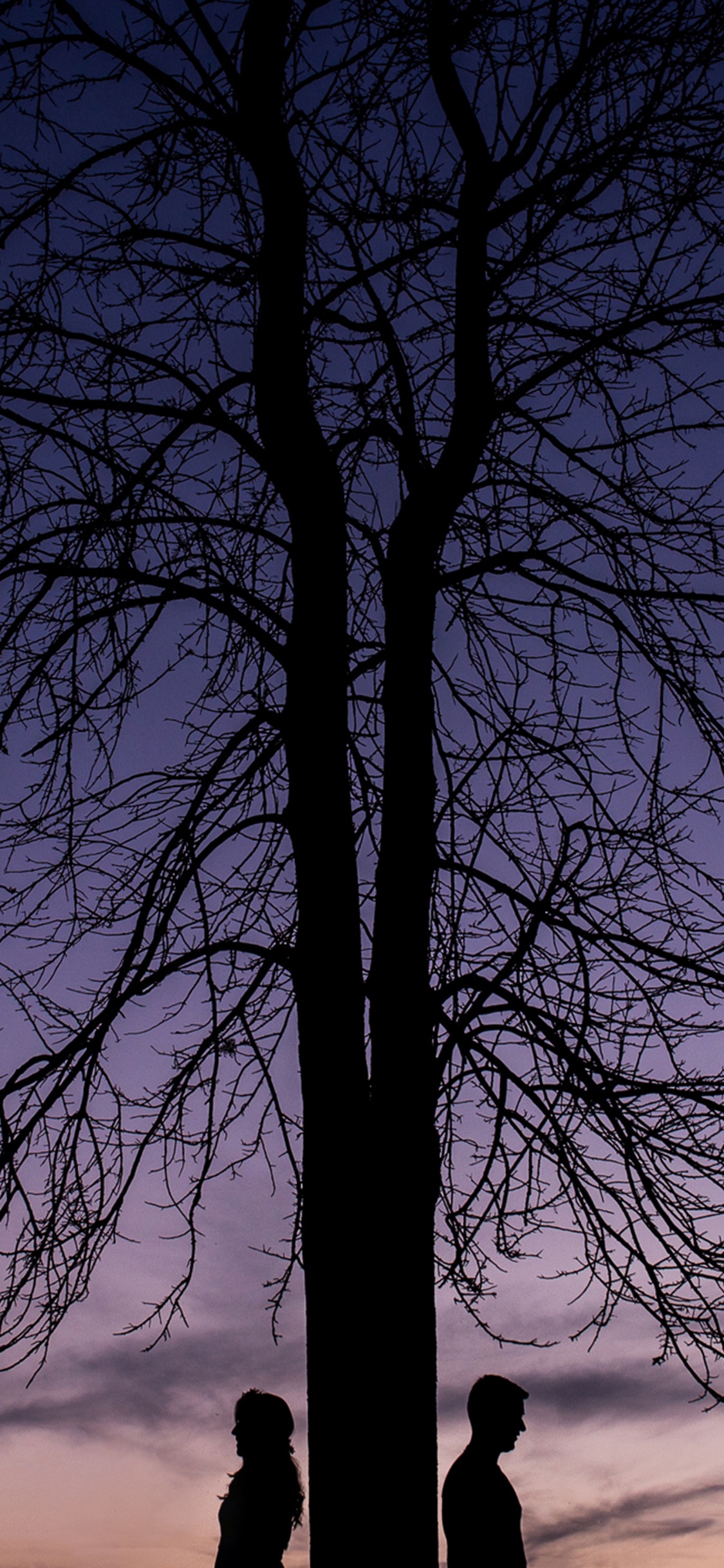 Naturaleza, Azul, Sucursal, Planta Leñosa, Paisaje Natural. Wallpaper in 1125x2436 Resolution