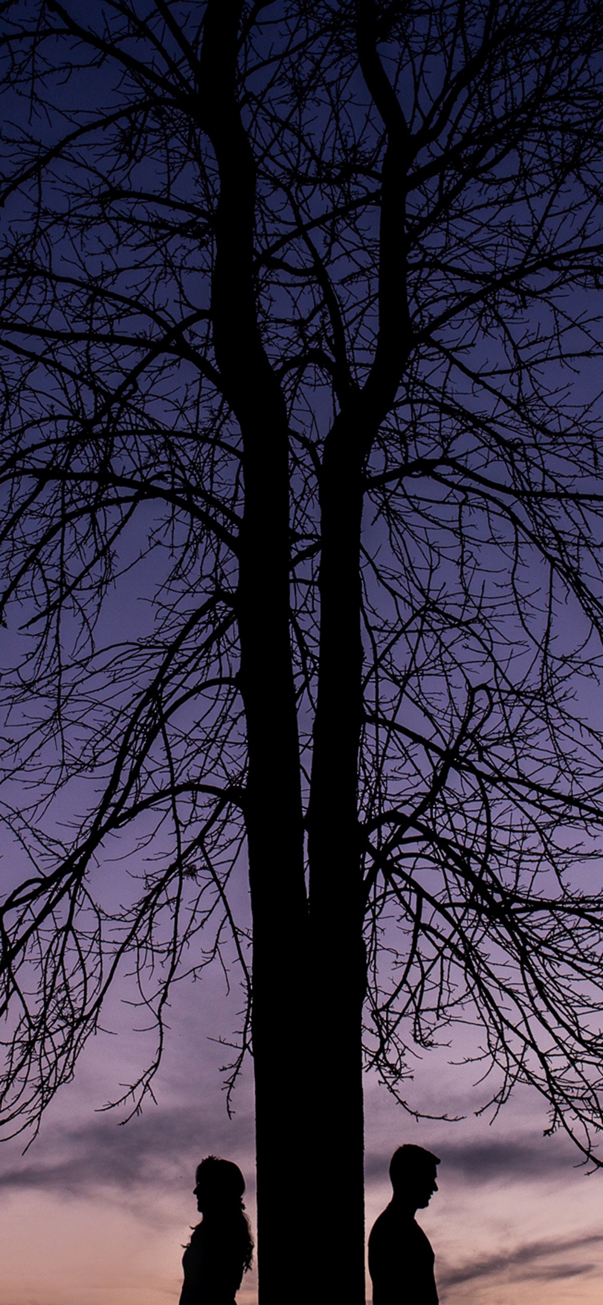 Nature, Blue, Plantes Ligneuses, Paysage Naturel, Atmosphère. Wallpaper in 1242x2688 Resolution