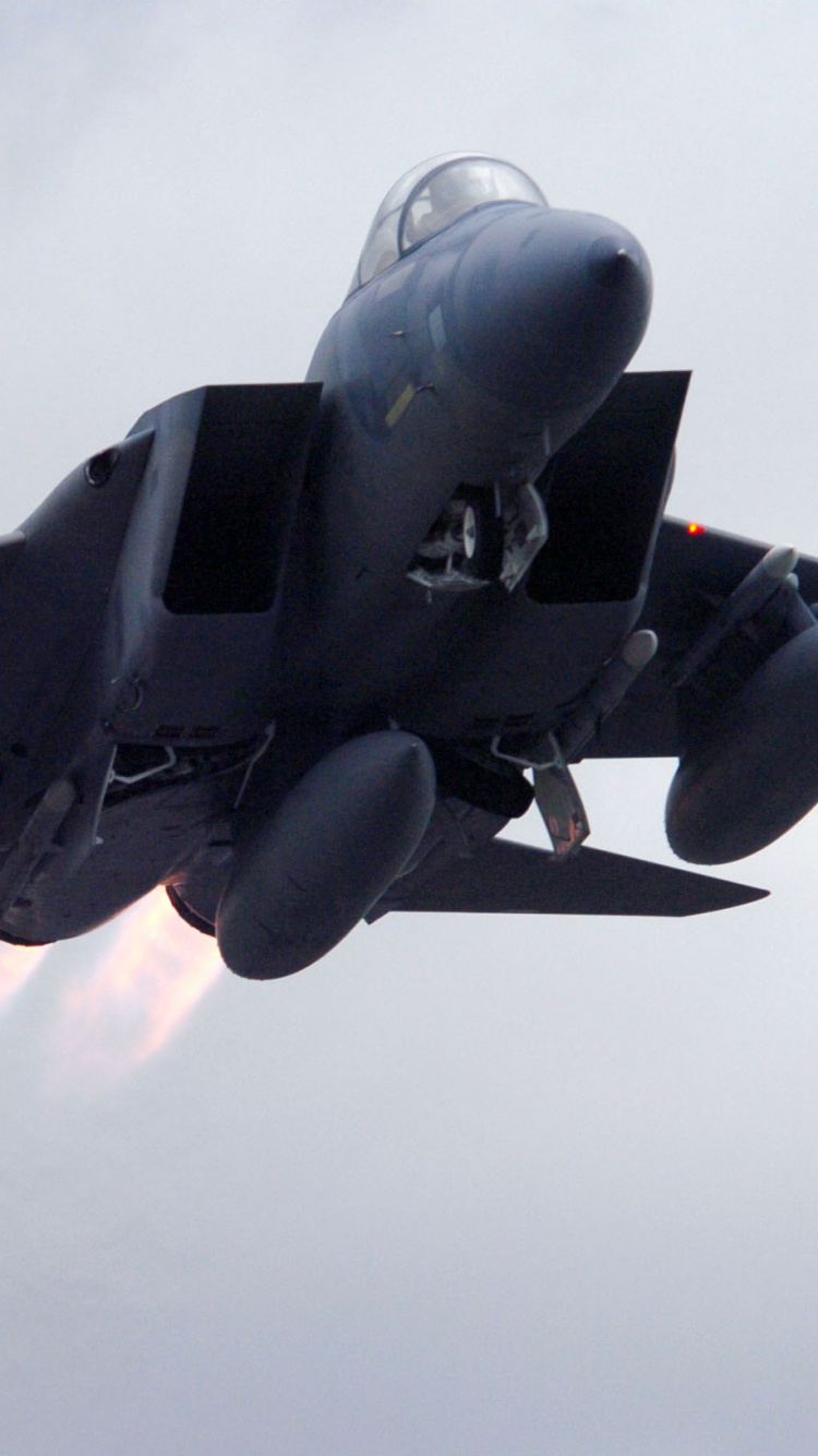 Avión Jet Negro en el Aire Durante el Día. Wallpaper in 750x1334 Resolution