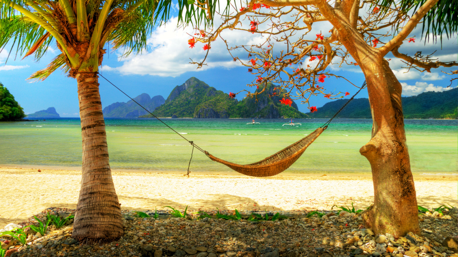 Brown Tree on Beach Shore During Daytime. Wallpaper in 1920x1080 Resolution
