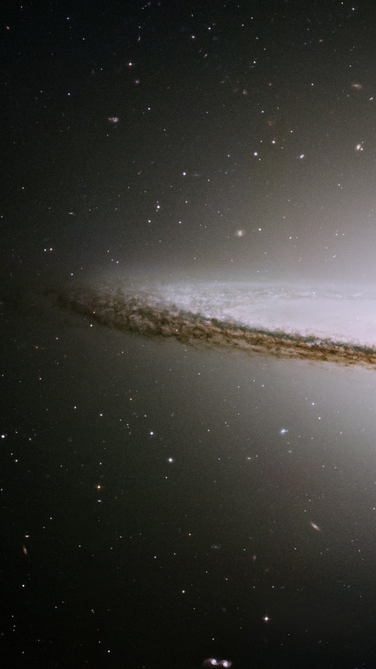 Nuit Étoilée Brune et Blanche. Wallpaper in 750x1334 Resolution