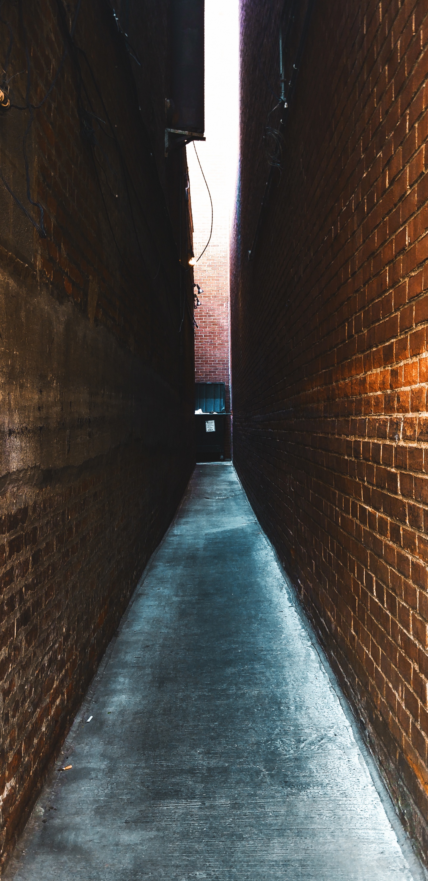 IOS, Smartphone, IOS 14, Apple, Brown. Wallpaper in 1440x2960 Resolution