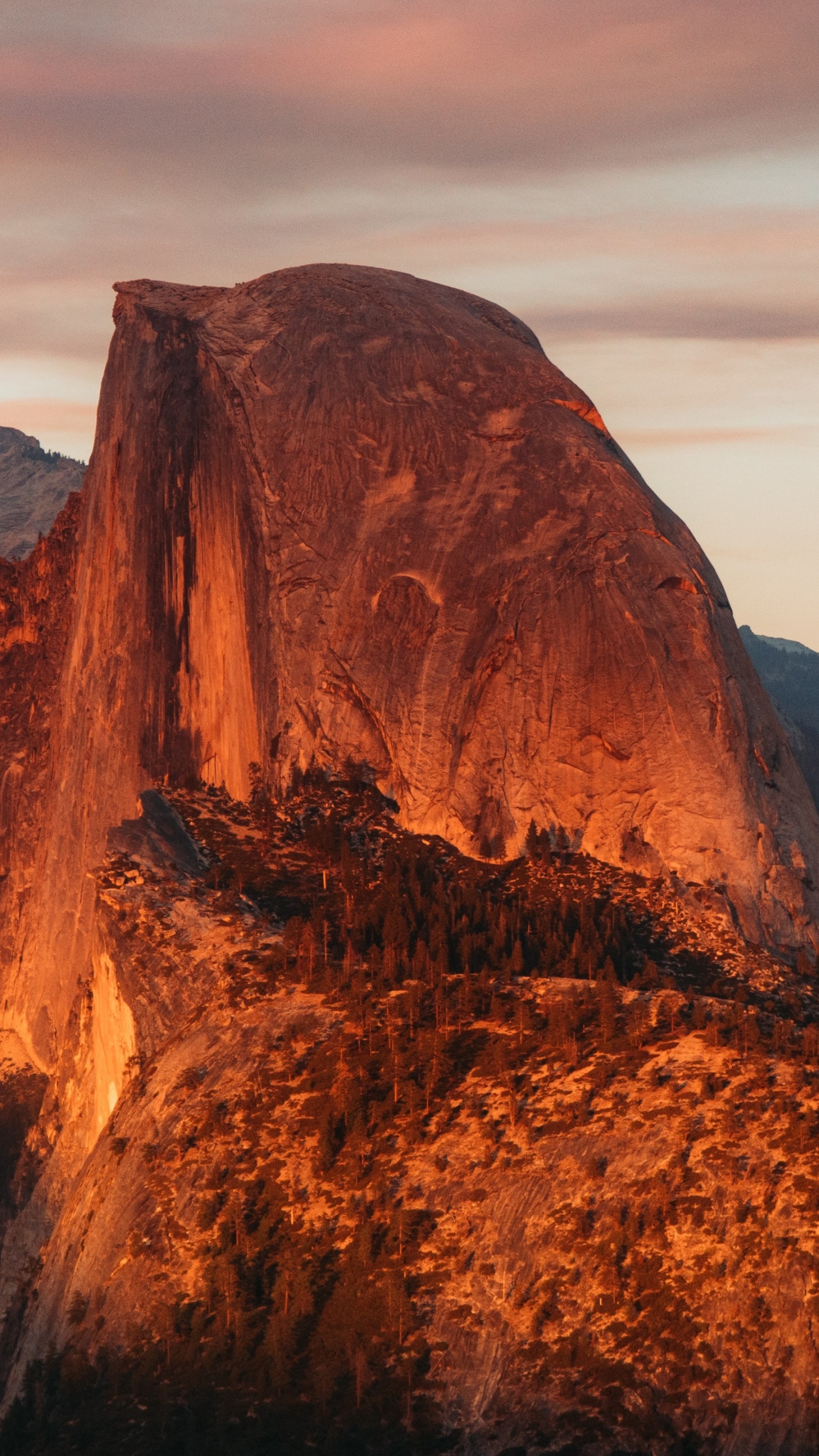 Halbe Kuppel Des Yosemite-Nationalparks, Half Dome, El Capitan, Halbe Kuppelspur, Nationalpark. Wallpaper in 1440x2560 Resolution