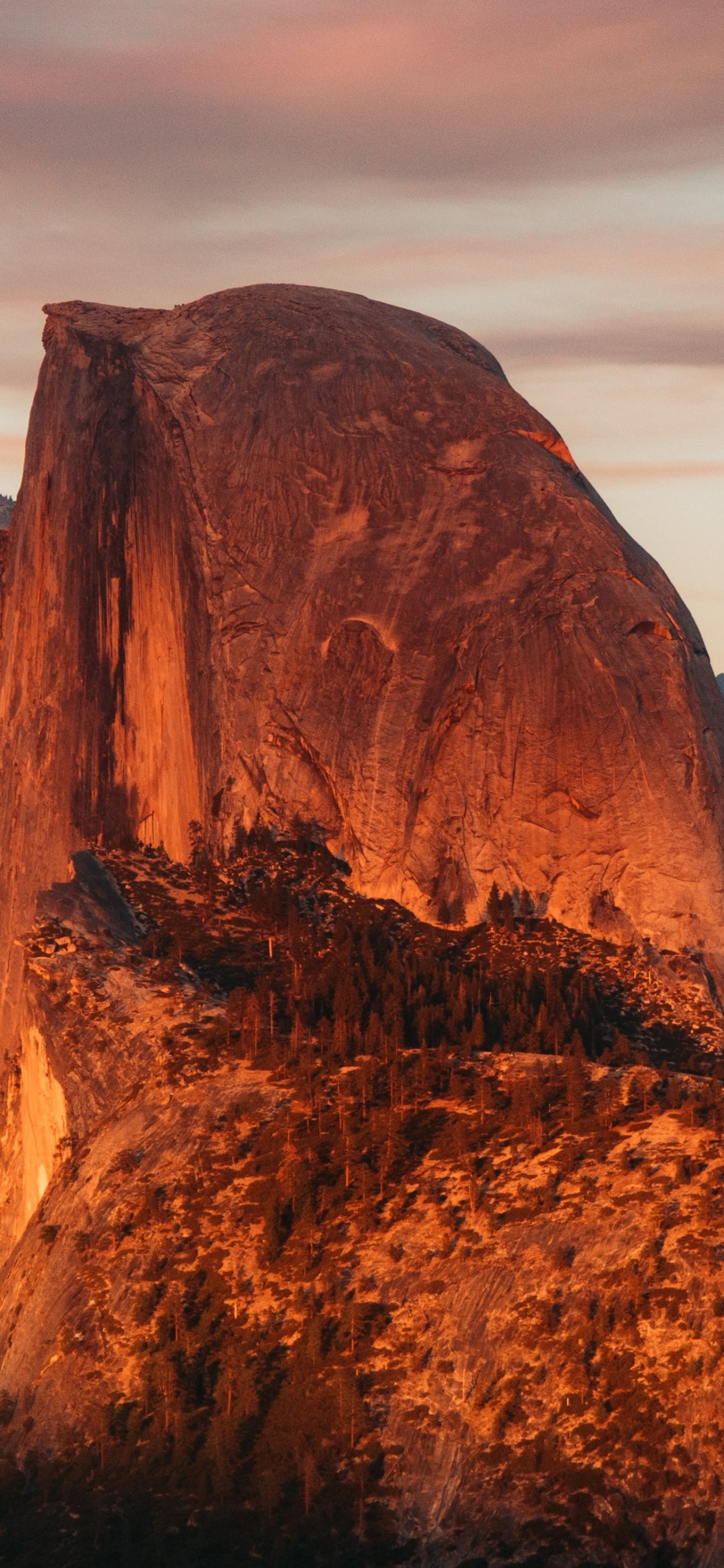 Yosemite National Park Half Dome, Half Dome, El Capitan, Half Dome Trail, National Park. Wallpaper in 1242x2688 Resolution