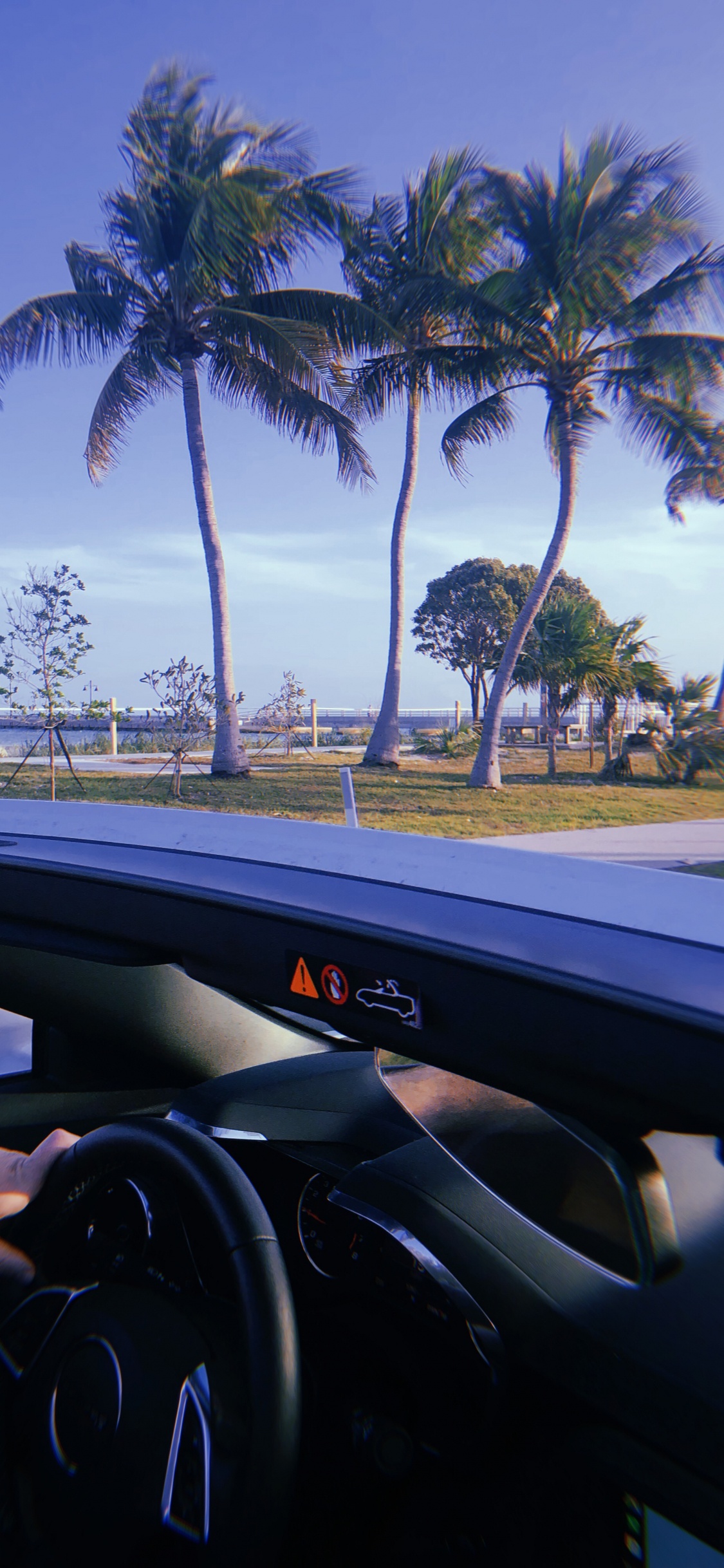 Miami, Reflexion, König, Lenkung Teil, Baum. Wallpaper in 1125x2436 Resolution