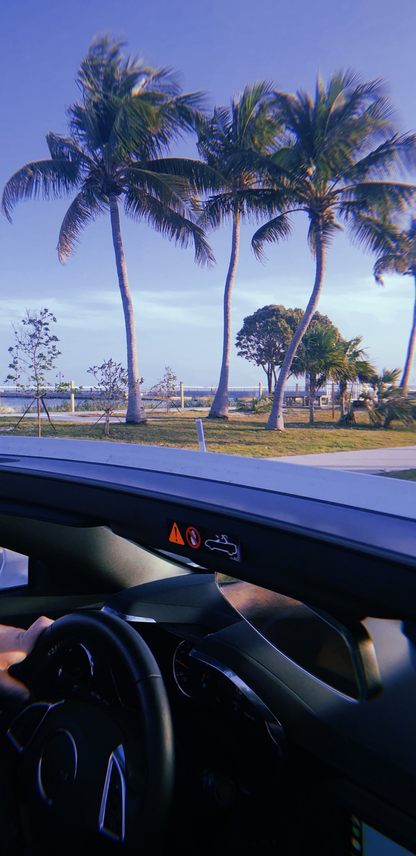 Miami, Reflexion, König, Lenkung Teil, Baum. Wallpaper in 1440x2960 Resolution