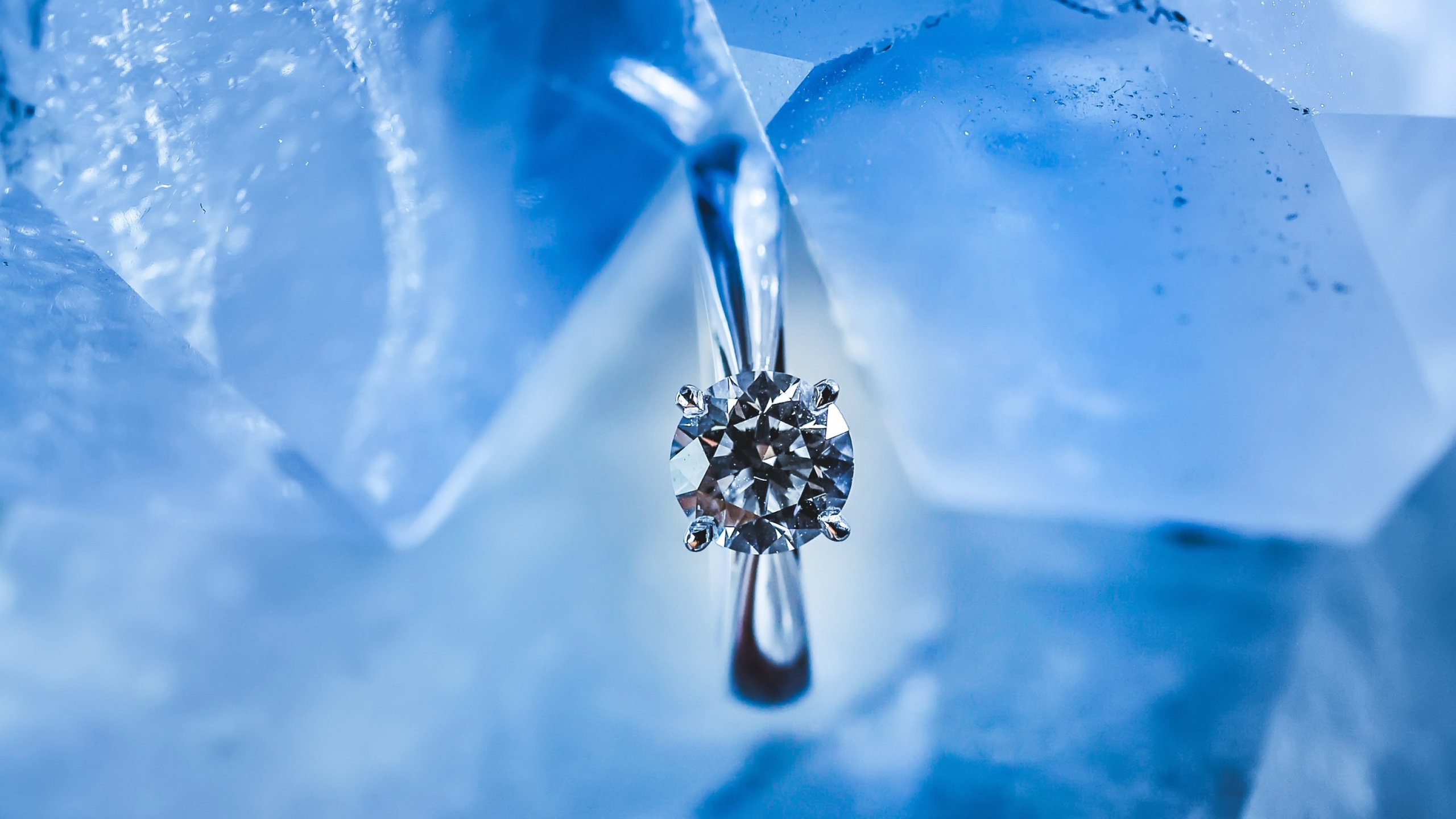 Blue, Water, Electric Blue, Liquid, Sky. Wallpaper in 2560x1440 Resolution