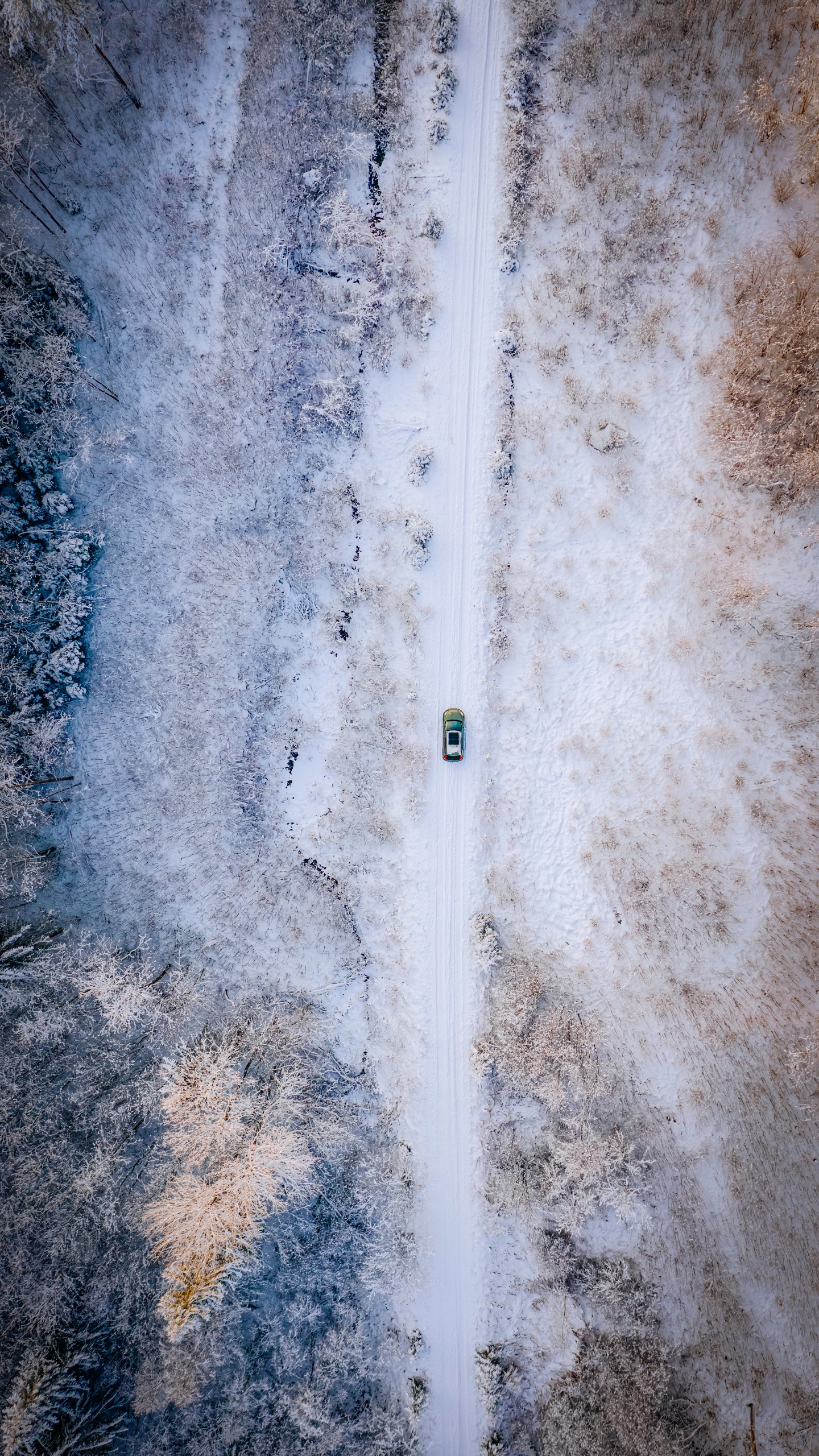 Freezing, Water, Water Resources, Waterfall, Science. Wallpaper in 1440x2560 Resolution