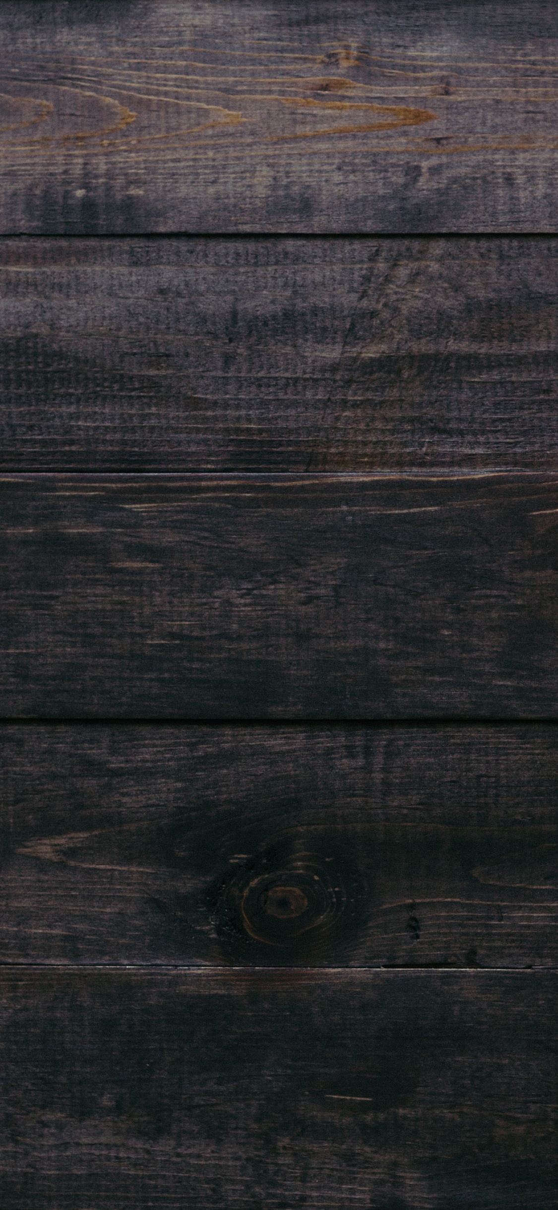 感恩节, 南瓜馅饼, 冬南瓜, Calabaza, 南瓜 壁纸 1125x2436 允许