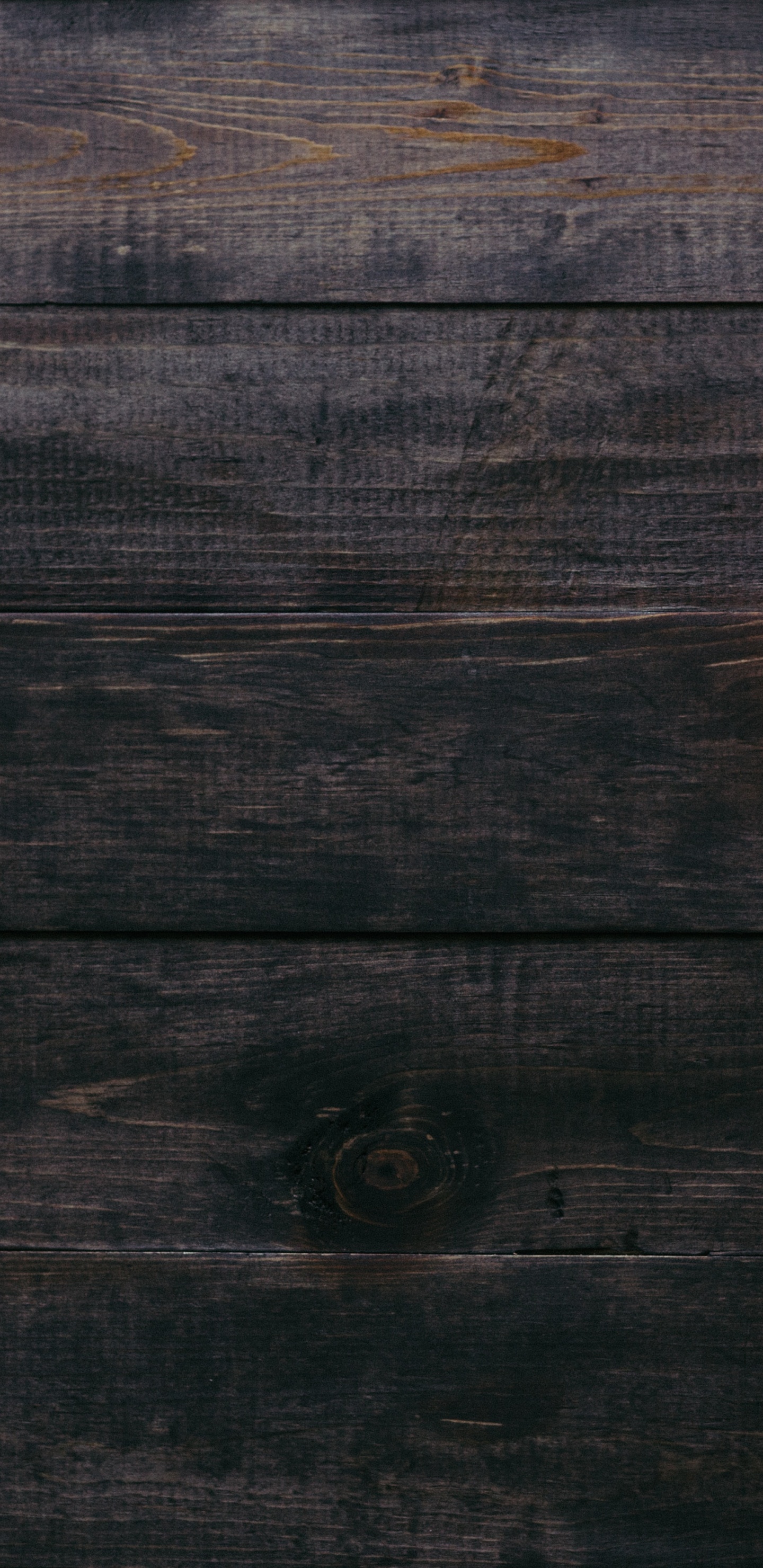 感恩节, 南瓜馅饼, 冬南瓜, Calabaza, 南瓜 壁纸 1440x2960 允许