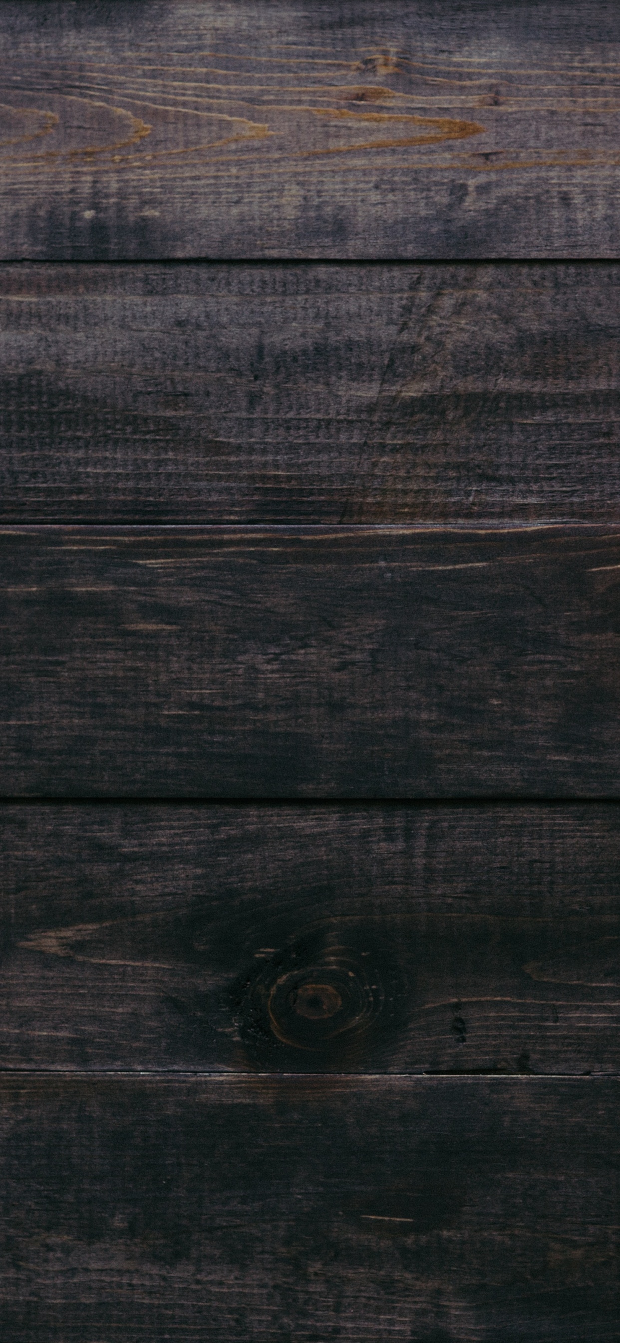 Thanksgiving, Festessen Zum Erntedankfest, Kürbiskuchen, Winter Squash, Calabaza. Wallpaper in 1242x2688 Resolution