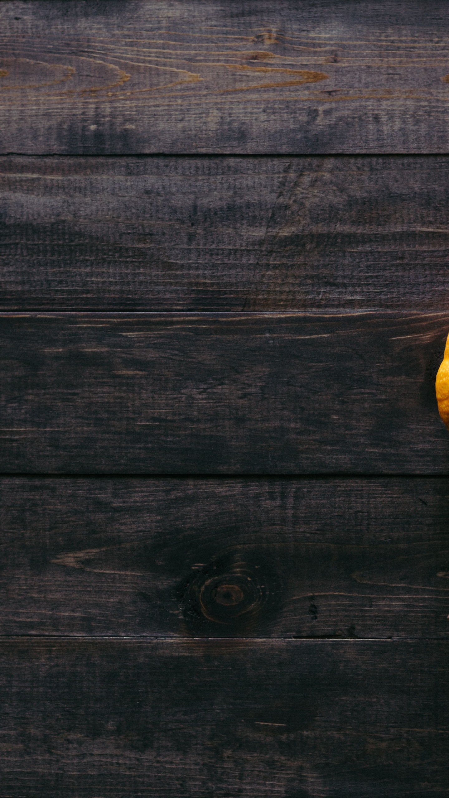 Thanksgiving, Thanksgiving Dinner, Pumpkin Pie, Pumpkin, Plant. Wallpaper in 1440x2560 Resolution