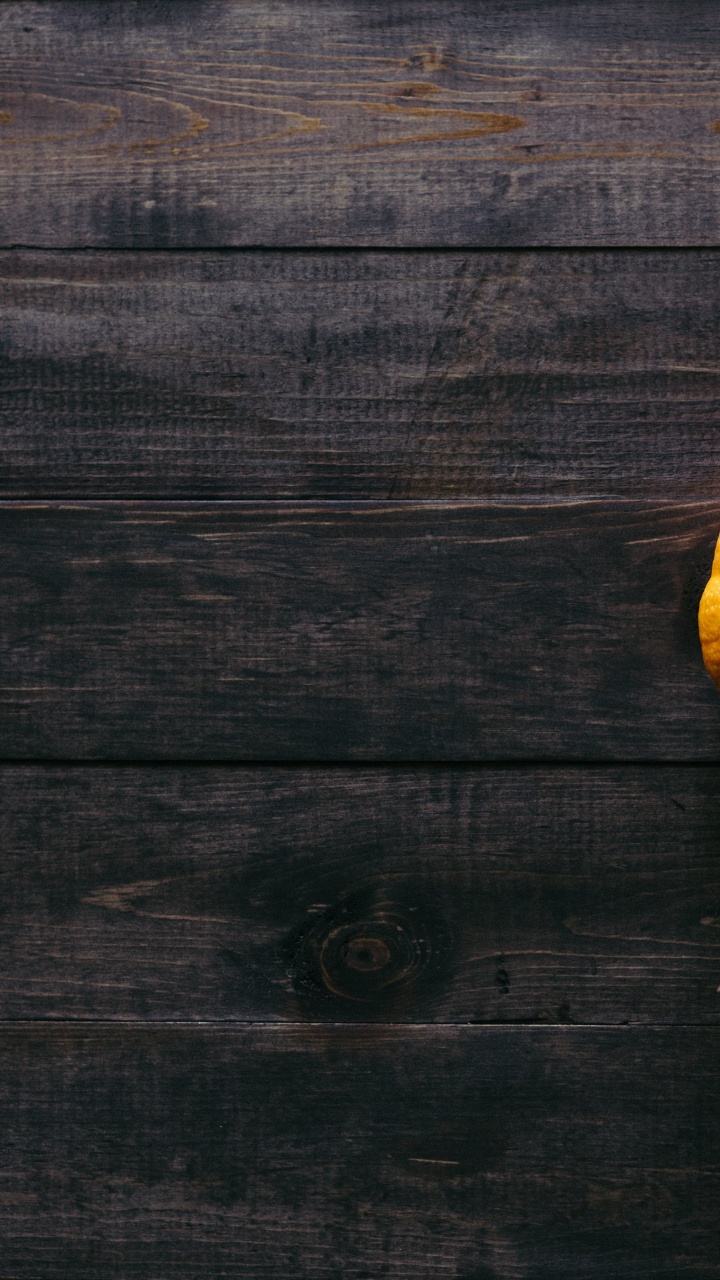 Thanksgiving, Thanksgiving Dinner, Pumpkin Pie, Pumpkin, Plant. Wallpaper in 720x1280 Resolution