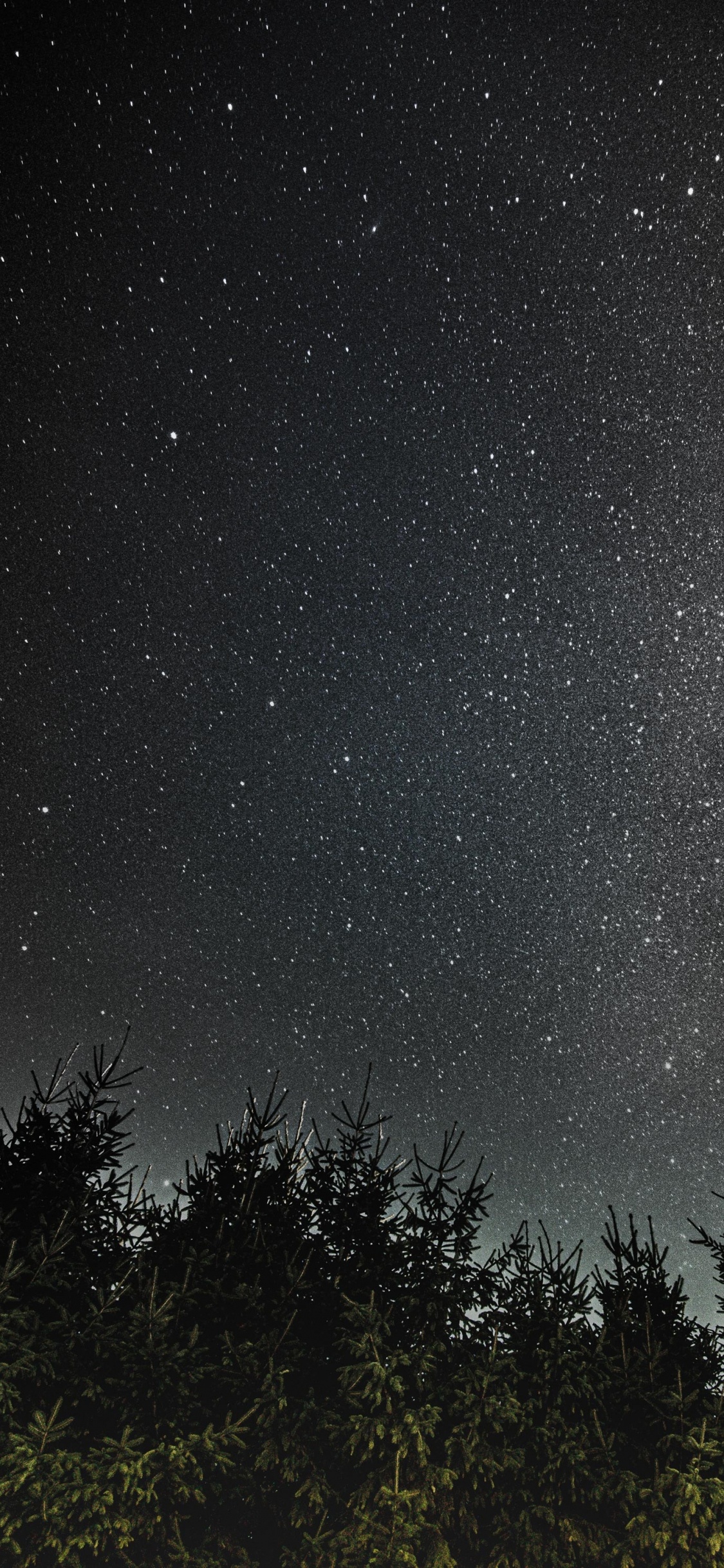 Árboles Verdes Bajo la Noche Estrellada. Wallpaper in 1125x2436 Resolution