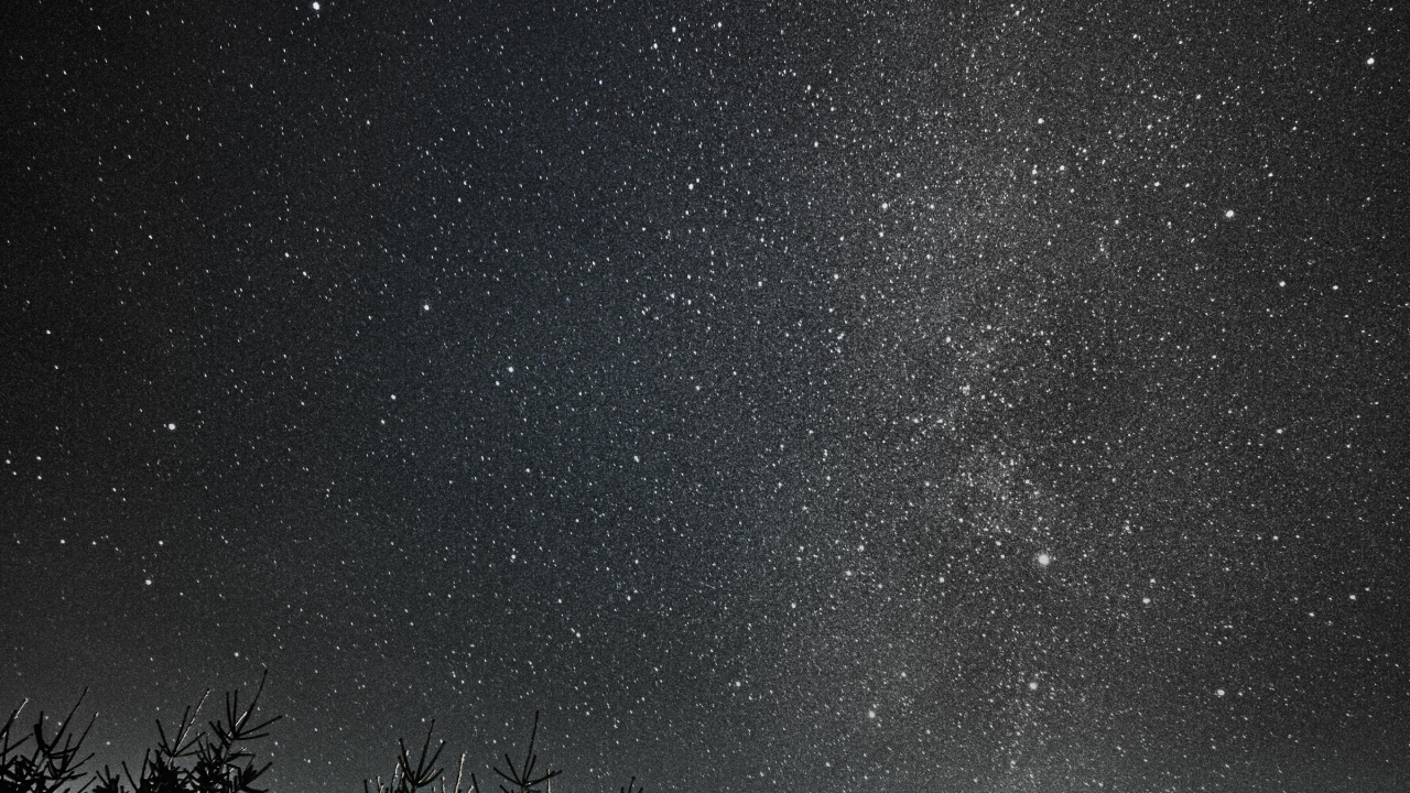 Árboles Verdes Bajo la Noche Estrellada. Wallpaper in 1280x720 Resolution