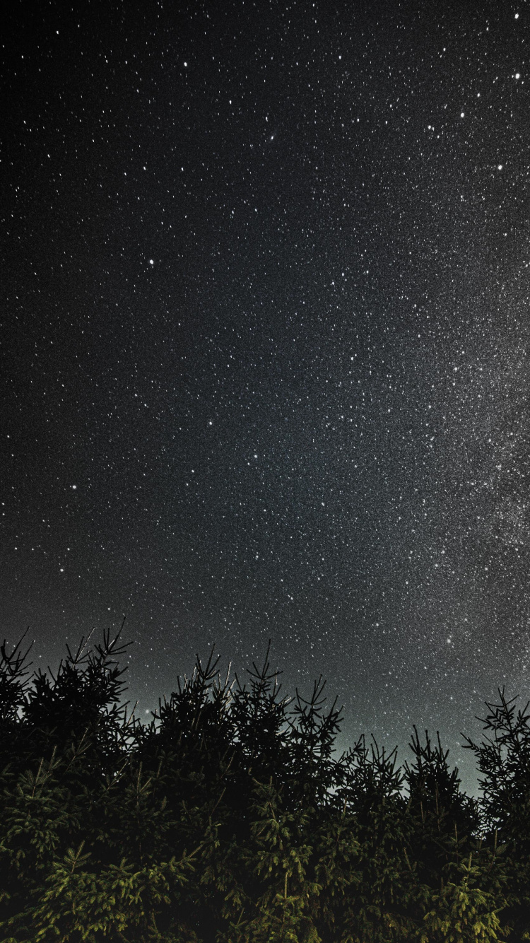 Arbres Verts Sous la Nuit Étoilée. Wallpaper in 750x1334 Resolution