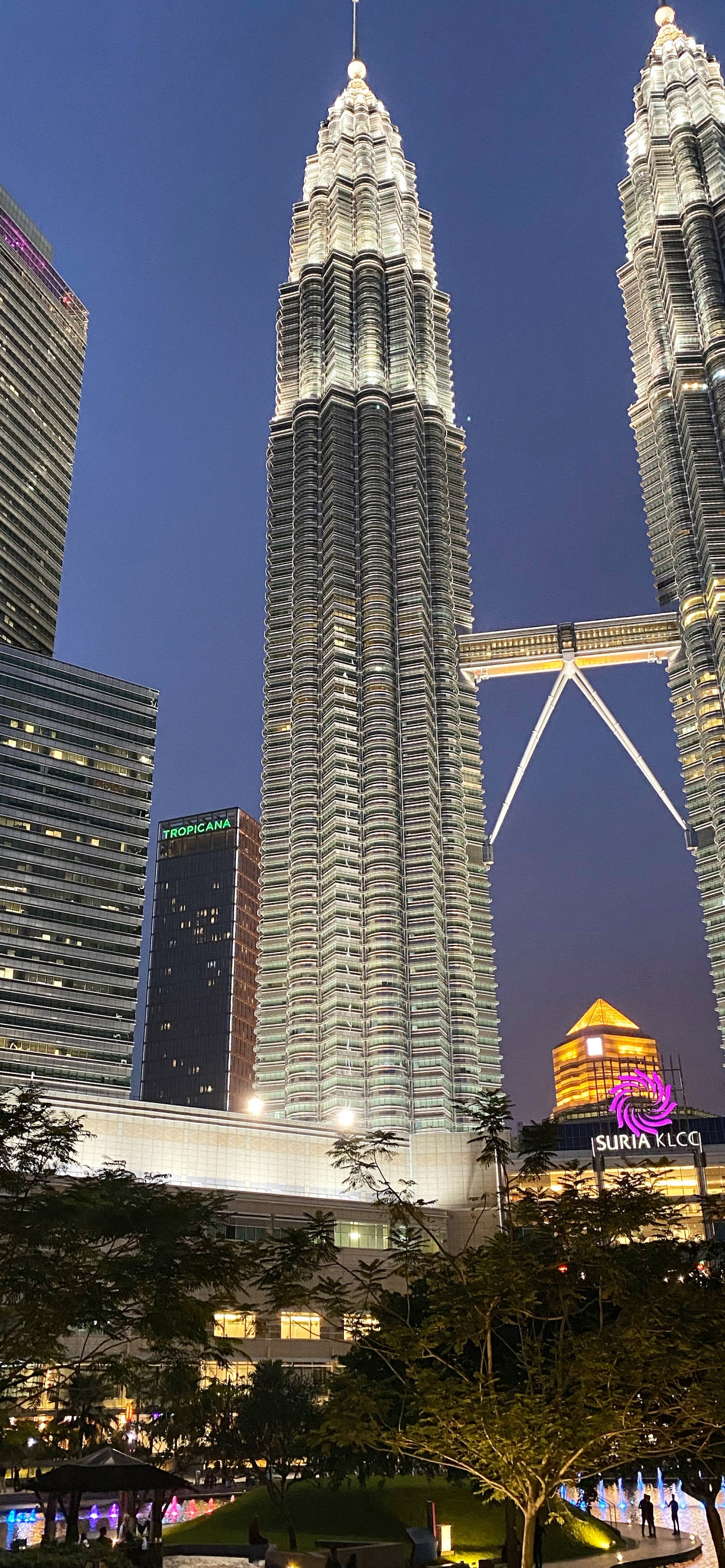 Petronas Twin Towers, Tower Block, Daytime, Tower, Architecture. Wallpaper in 1242x2688 Resolution