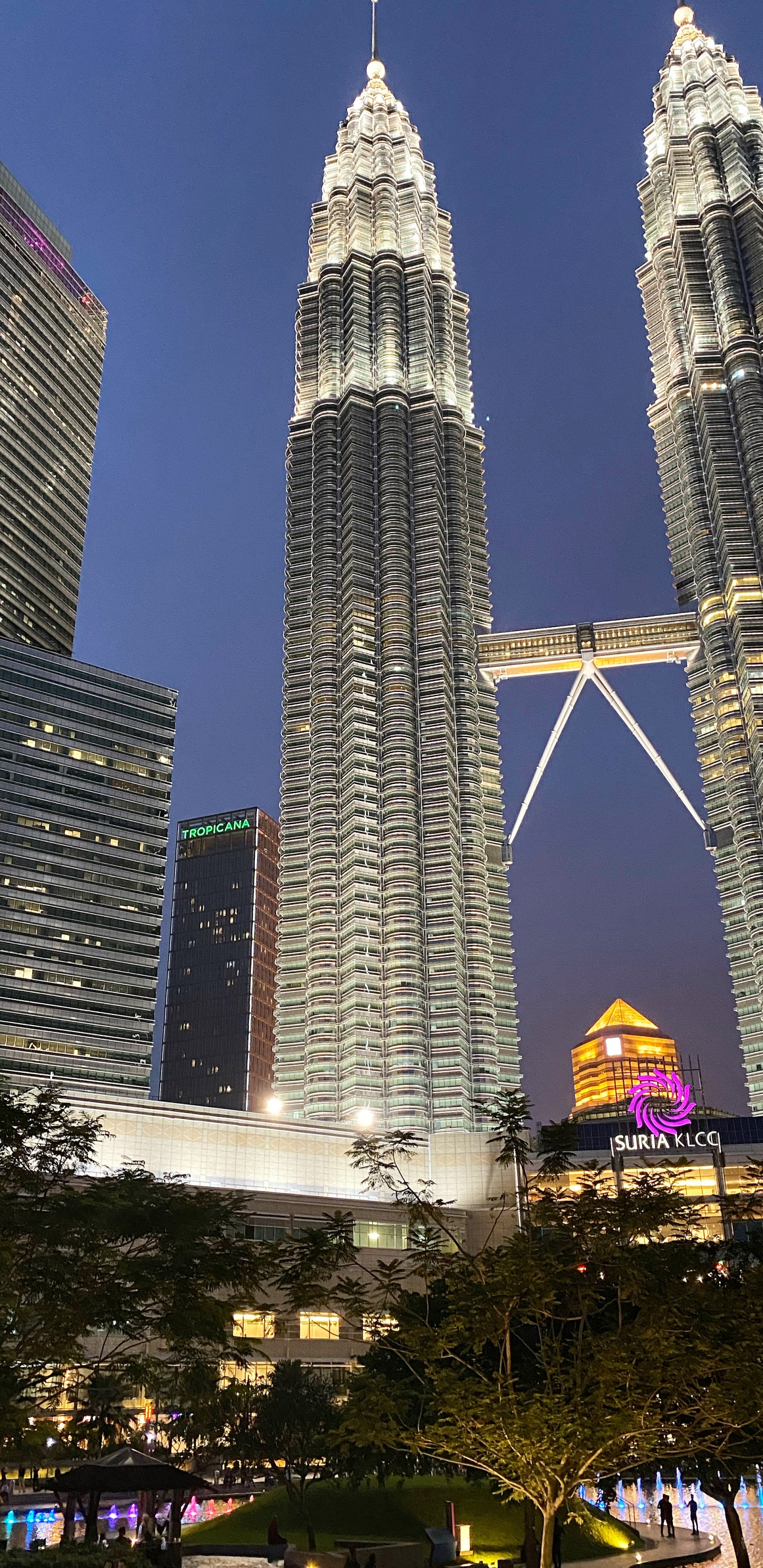 塔块, 建筑, 城市, 大都会, 城市景观 壁纸 1440x2960 允许