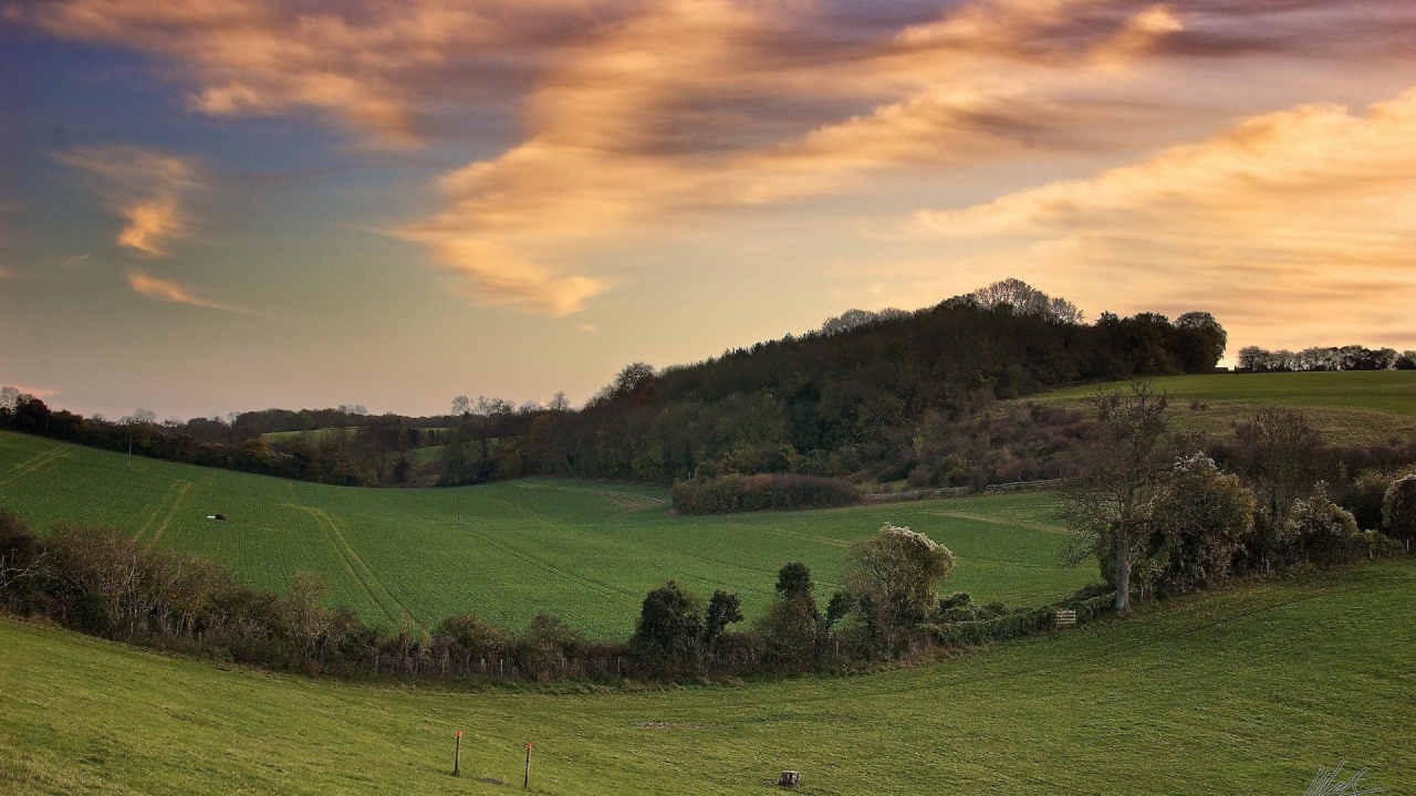 Campo de Hierba Verde Bajo el Cielo Nublado Durante el Día. Wallpaper in 1280x720 Resolution