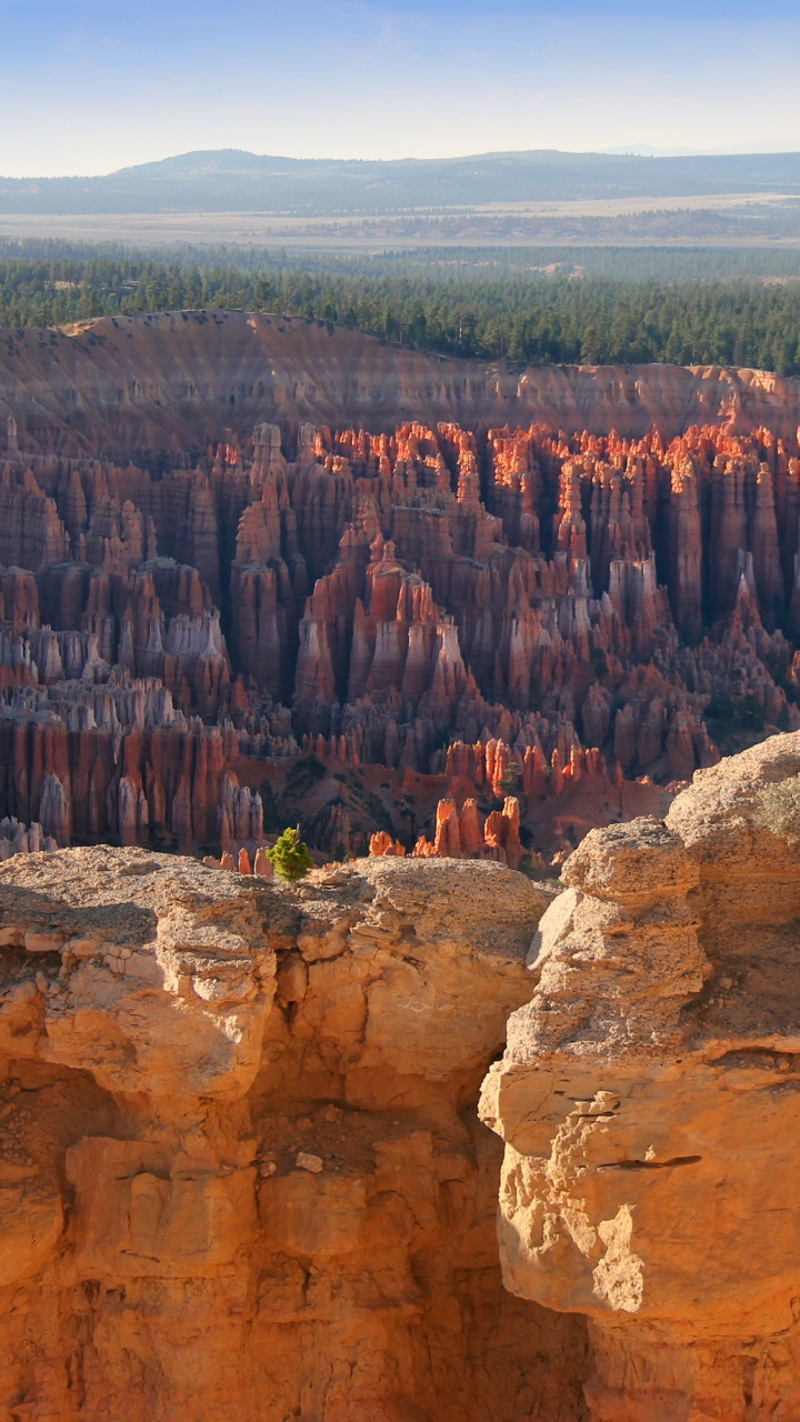 People Standing on Brown Rock Formation During Daytime. Wallpaper in 720x1280 Resolution
