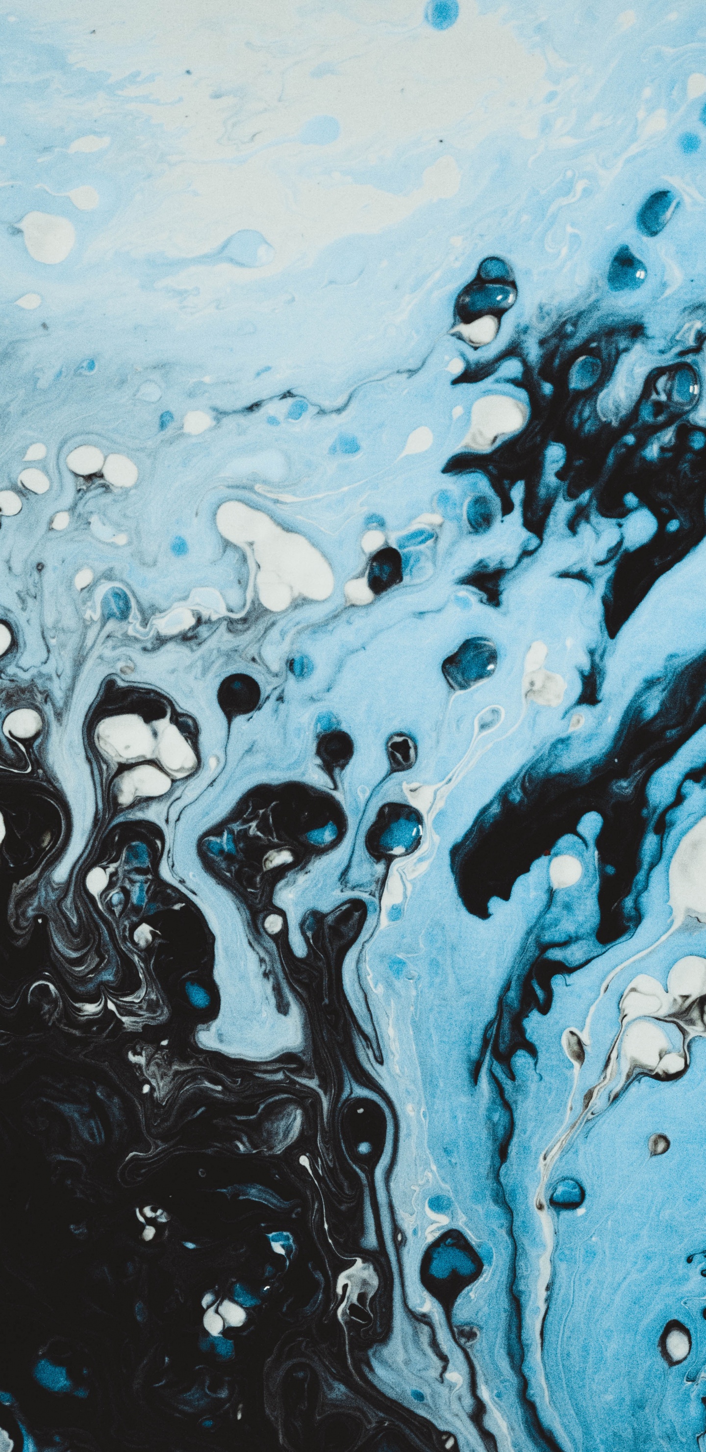 Éclaboussures D'eau Bleue et Blanche. Wallpaper in 1440x2960 Resolution